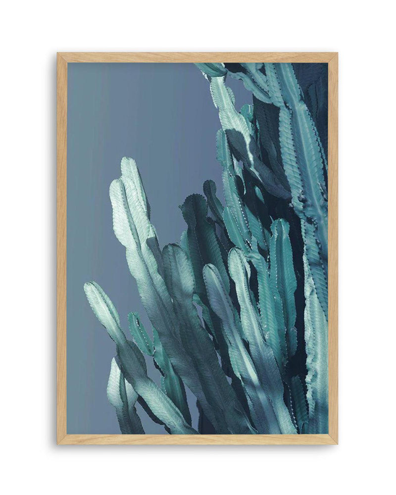 Cactus In Blue I Art Print
