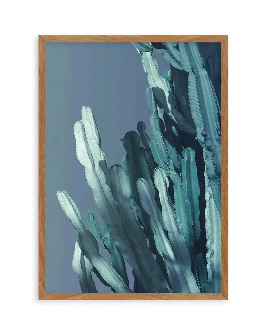 Cactus In Blue I Art Print from Olive et Oriel where you can shop wallpaper and artworks online