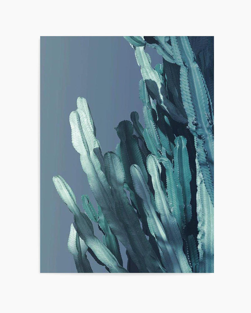 Cactus In Blue I Art Print
