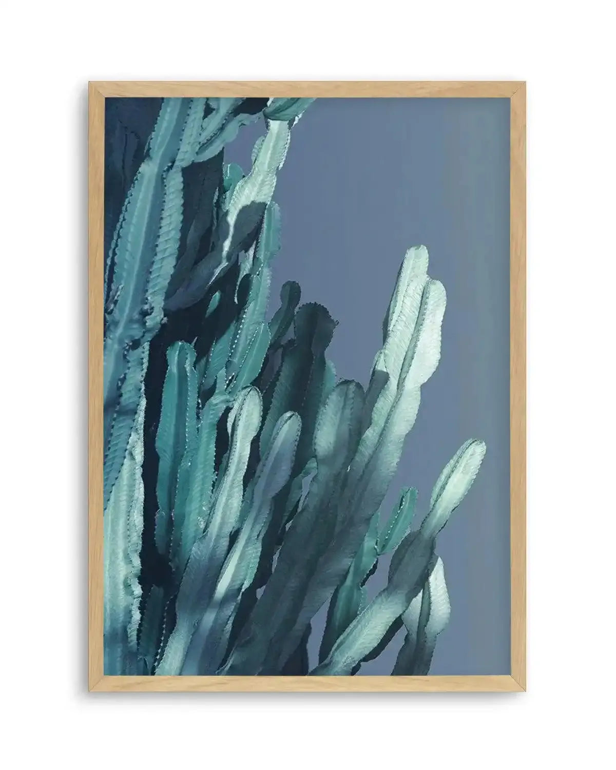 Cactus In Blue II Art Print from Olive et Oriel where you can shop wallpaper and artworks online