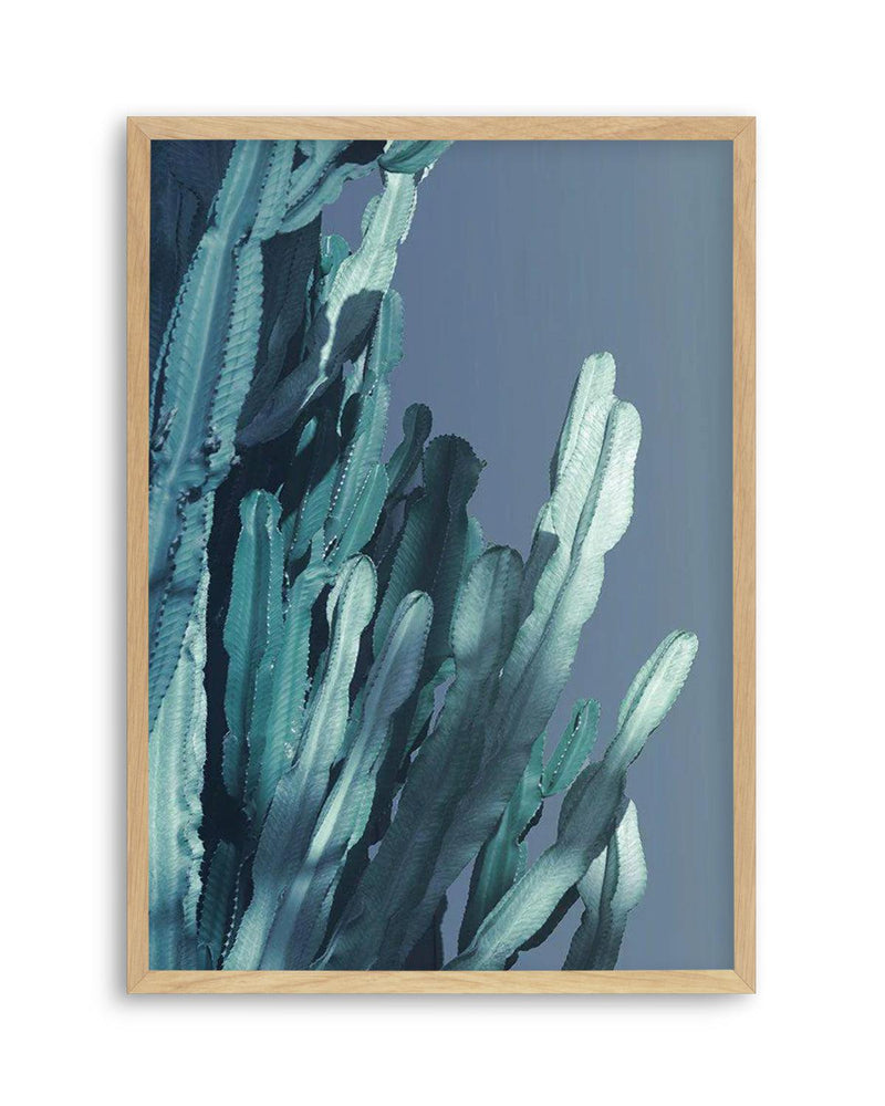 Cactus In Blue II Art Print