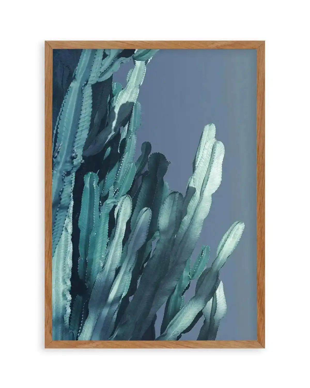 Cactus In Blue II Art Print from Olive et Oriel where you can shop wallpaper and artworks online