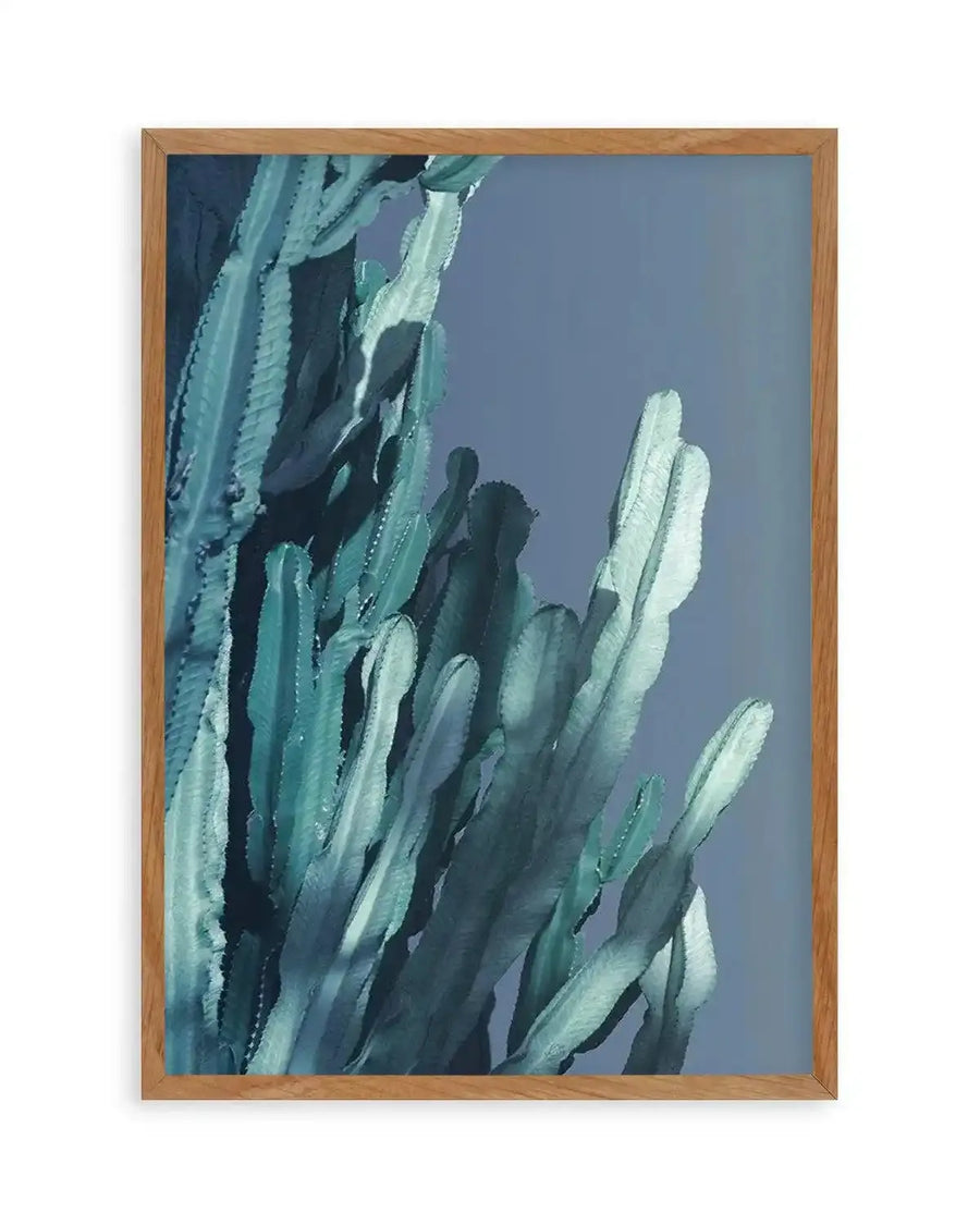 Cactus In Blue II Art Print from Olive et Oriel where you can shop wallpaper and artworks online