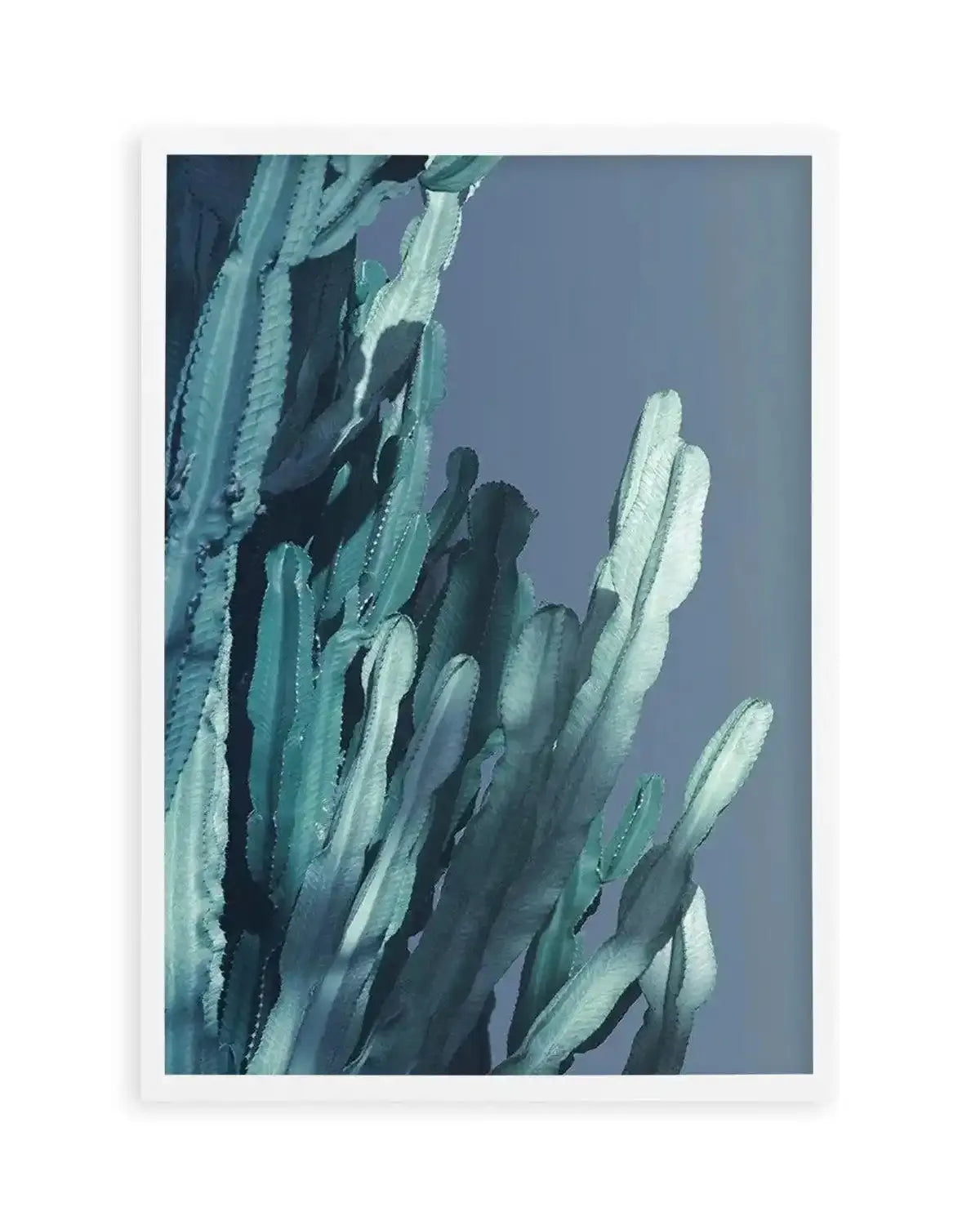 Cactus In Blue II Art Print from Olive et Oriel where you can shop wallpaper and artworks online