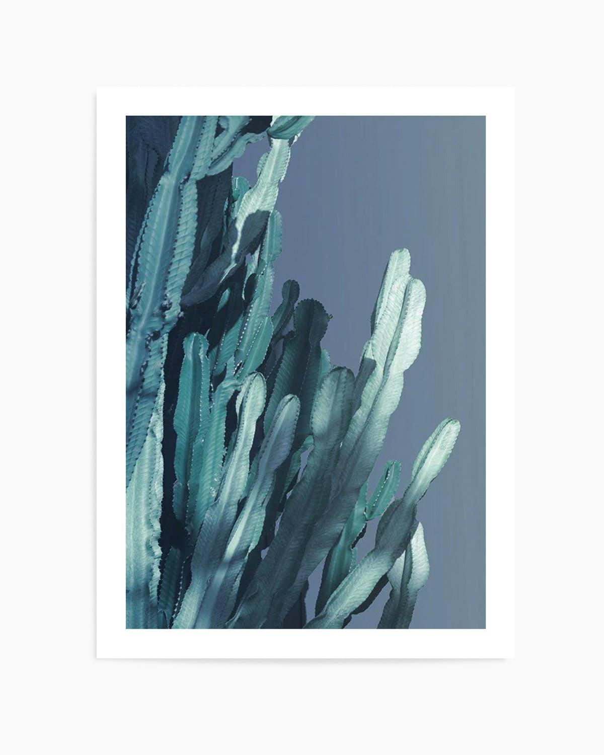 Cactus In Blue II Art Print