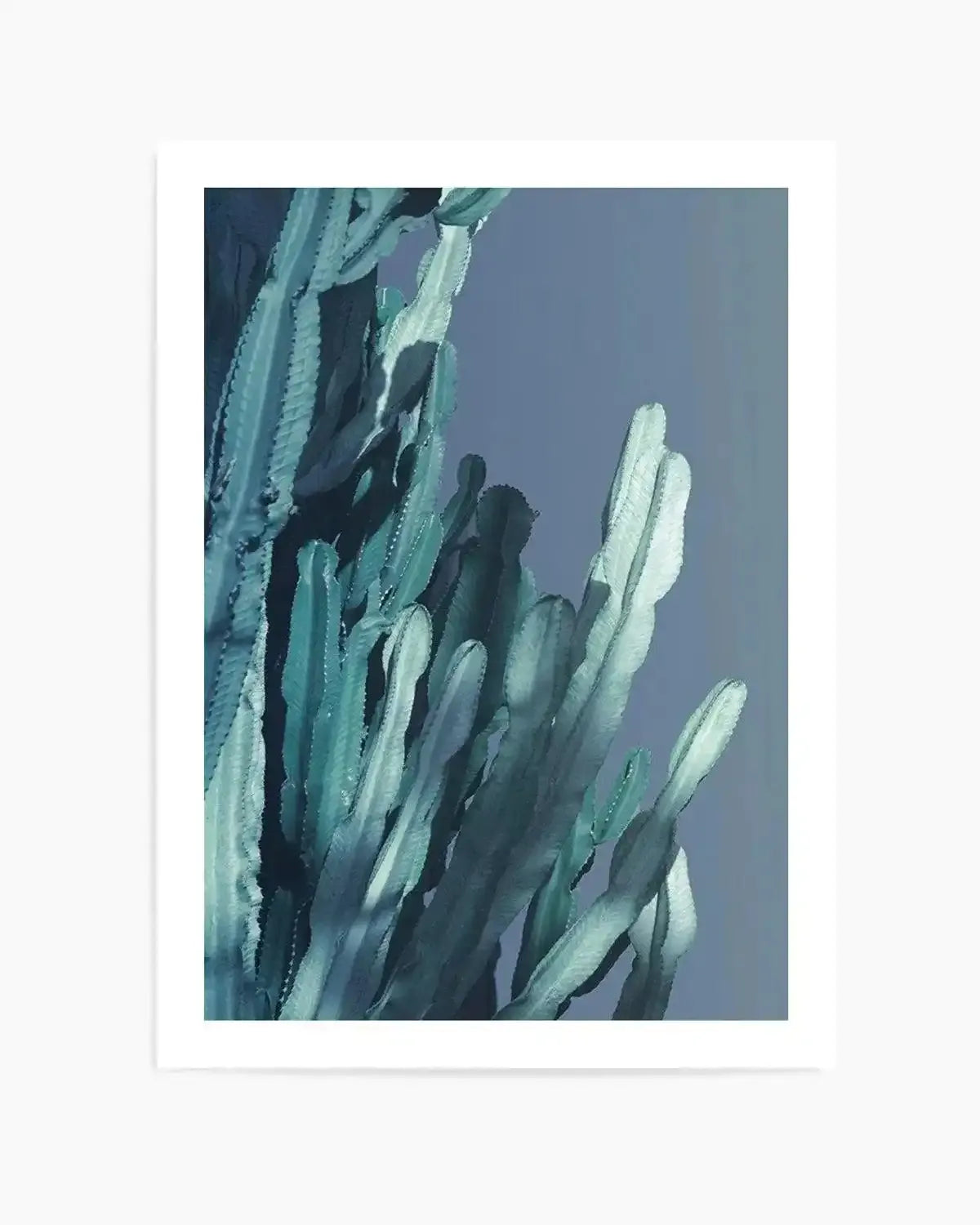 Cactus In Blue II Art Print from Olive et Oriel where you can shop wallpaper and artworks online