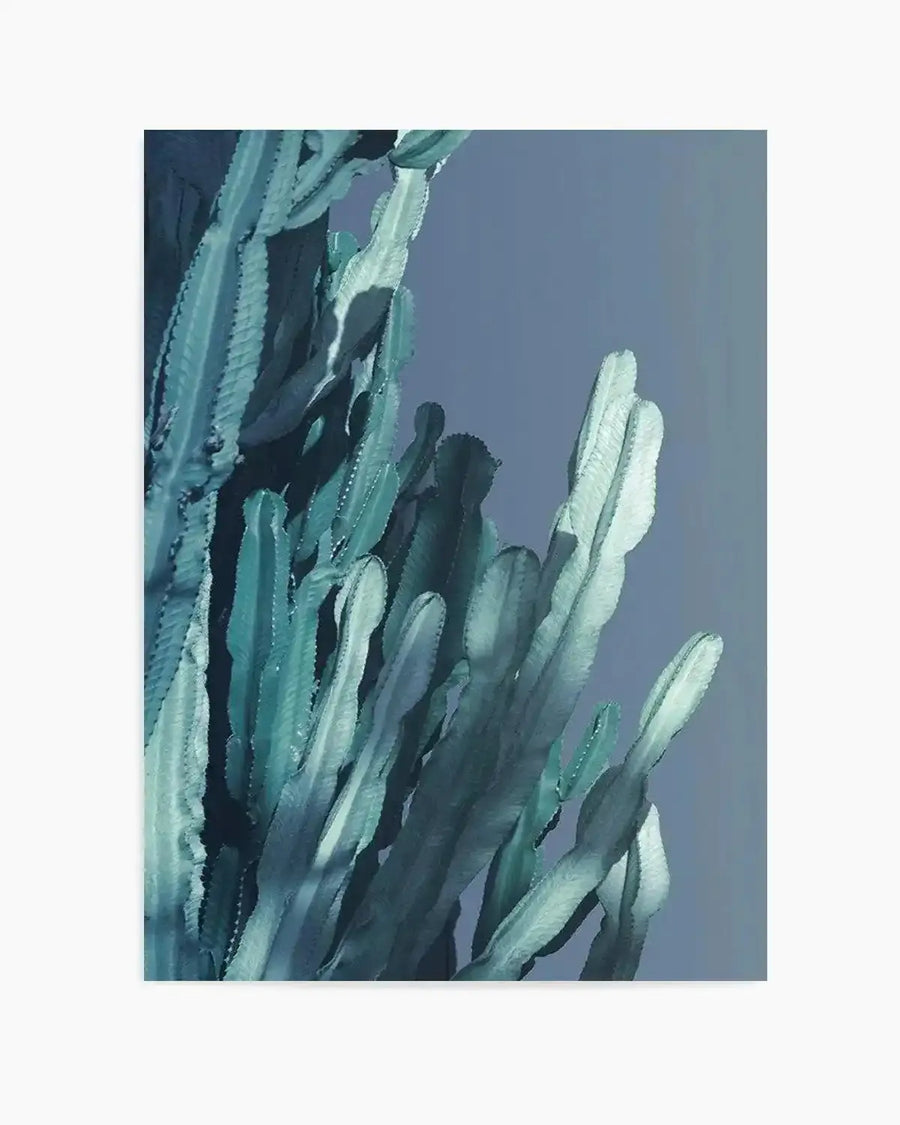 Cactus In Blue II Art Print from Olive et Oriel where you can shop wallpaper and artworks online