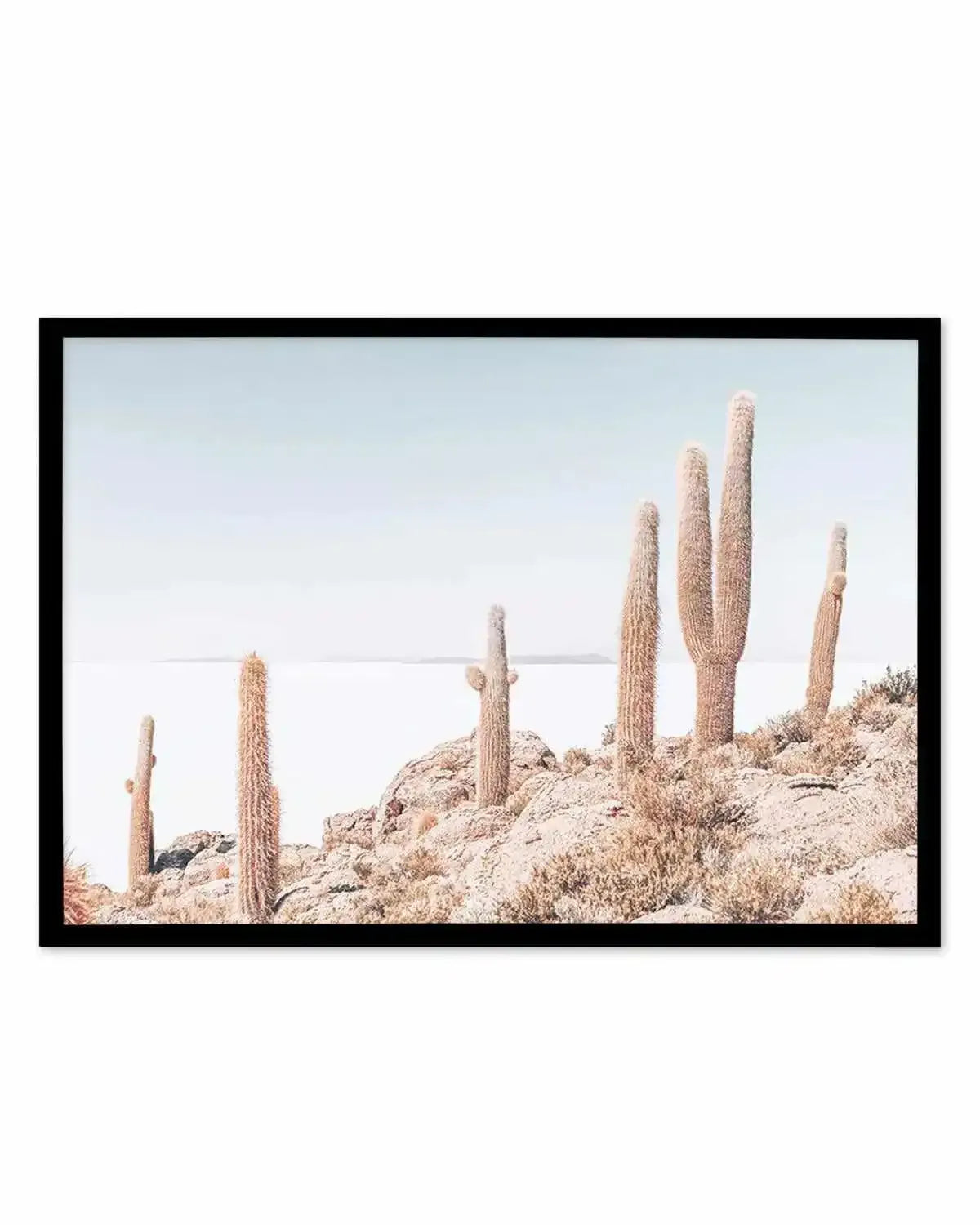 Cactus Island | Bolivia Art Print from Olive et Oriel where you can shop wallpaper and artworks online