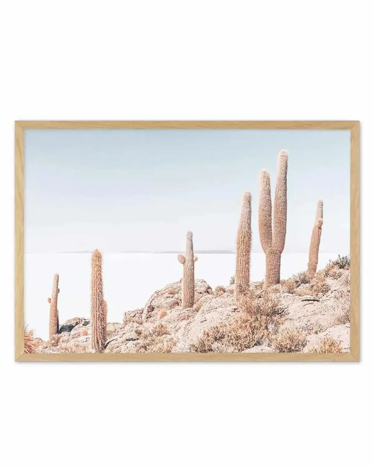Cactus Island | Bolivia Art Print from Olive et Oriel where you can shop wallpaper and artworks online