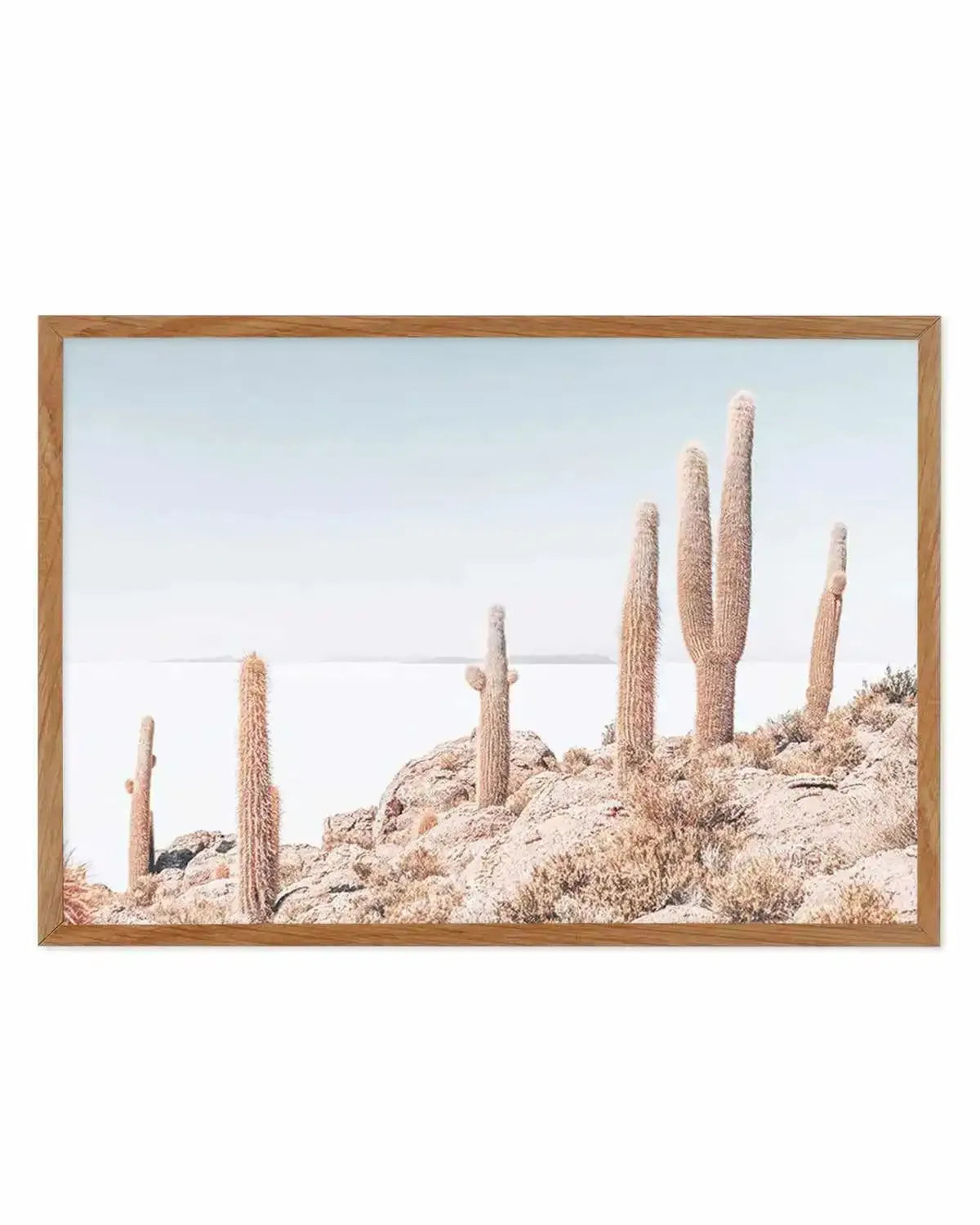 Cactus Island | Bolivia Art Print from Olive et Oriel where you can shop wallpaper and artworks online