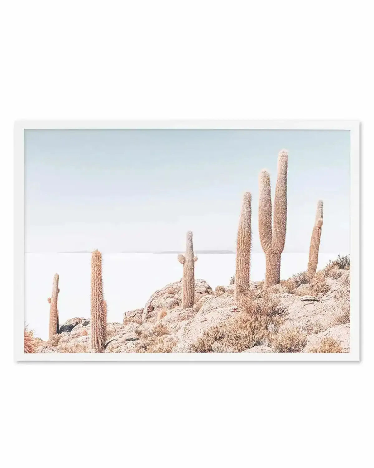 Cactus Island | Bolivia Art Print from Olive et Oriel where you can shop wallpaper and artworks online