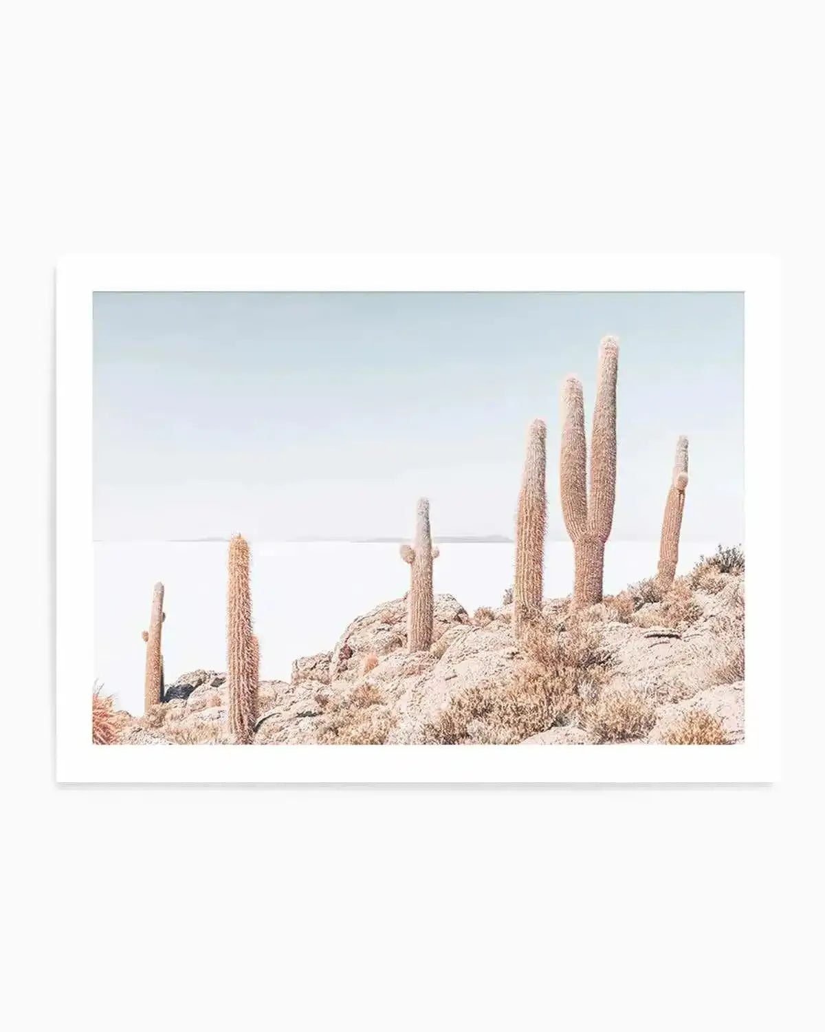 Cactus Island | Bolivia Art Print from Olive et Oriel where you can shop wallpaper and artworks online