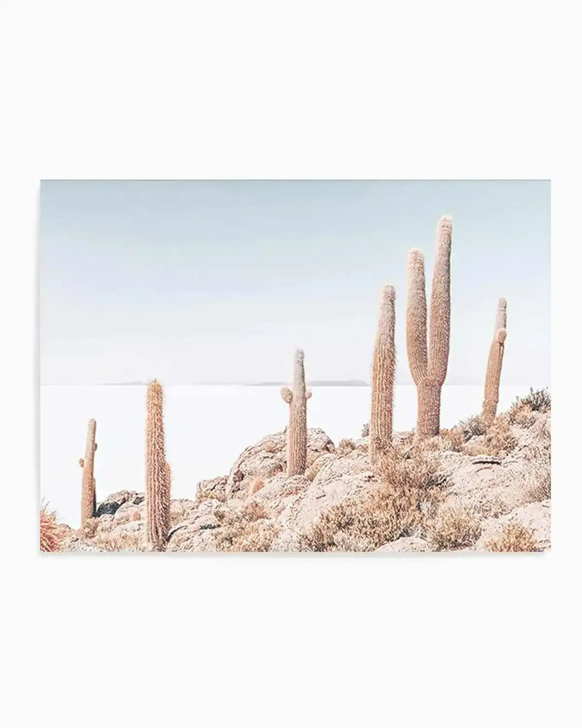 Cactus Island | Bolivia Art Print from Olive et Oriel where you can shop wallpaper and artworks online