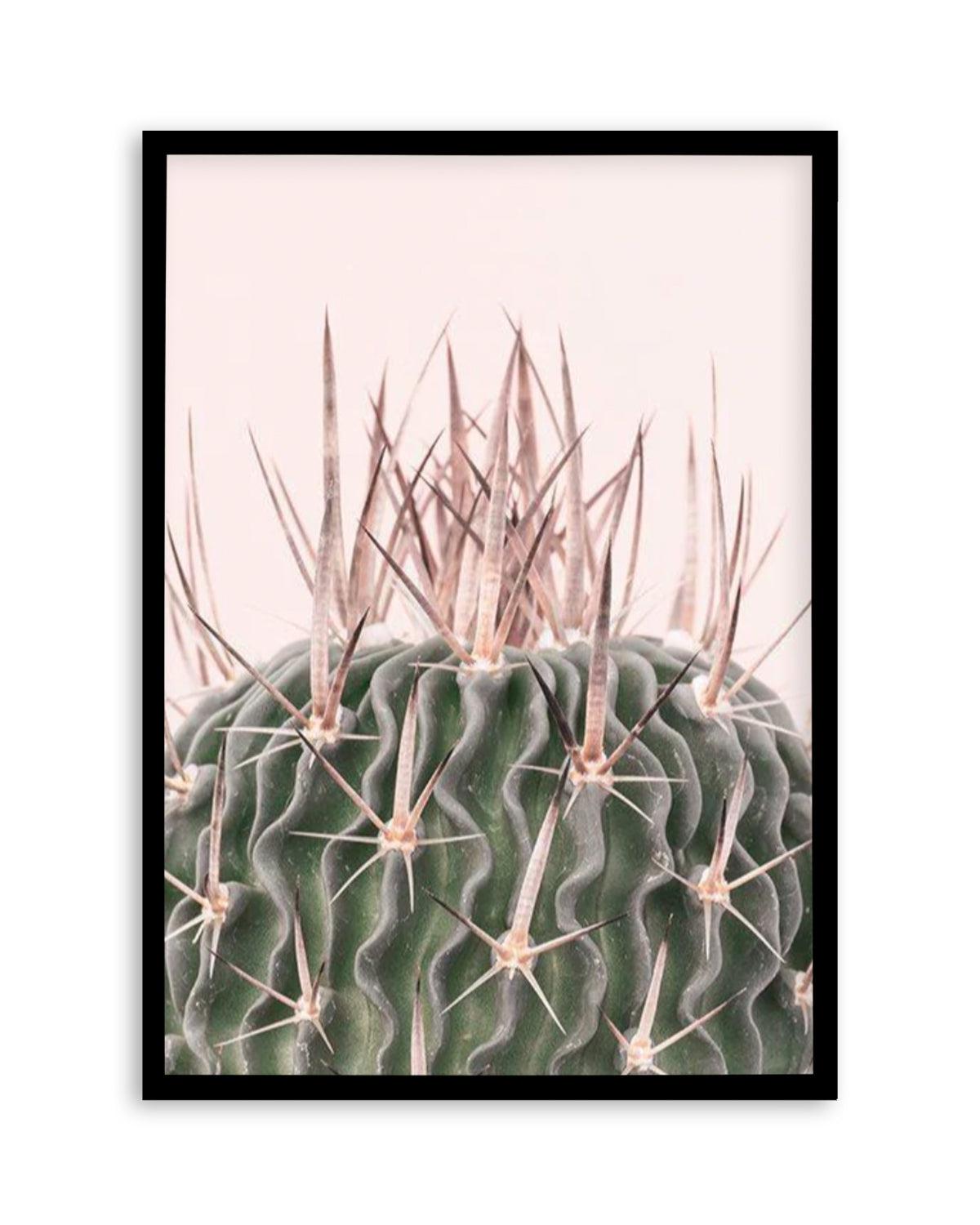 Cactus On Pink I Art Print