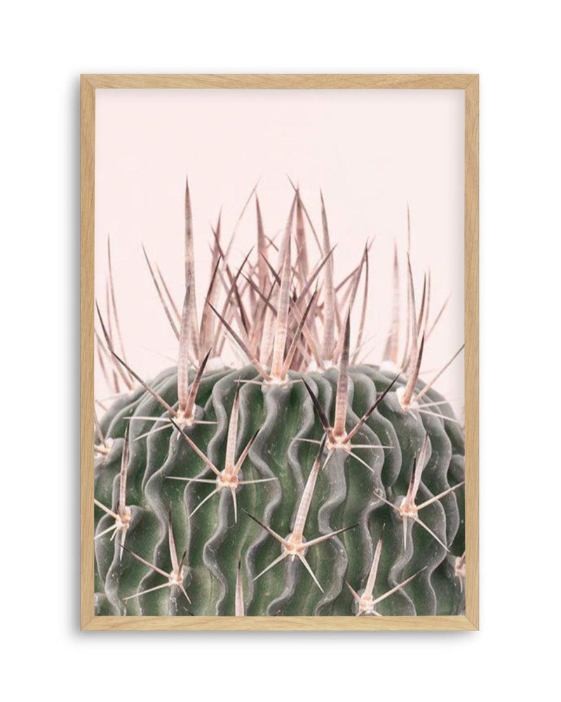 Cactus On Pink I Art Print