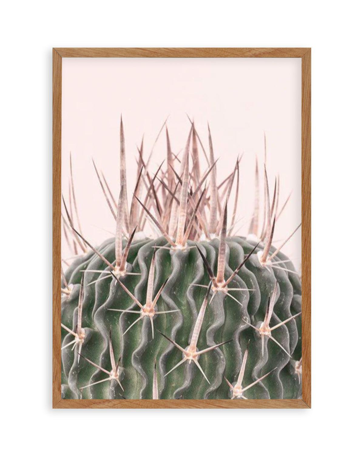 Cactus On Pink I Art Print