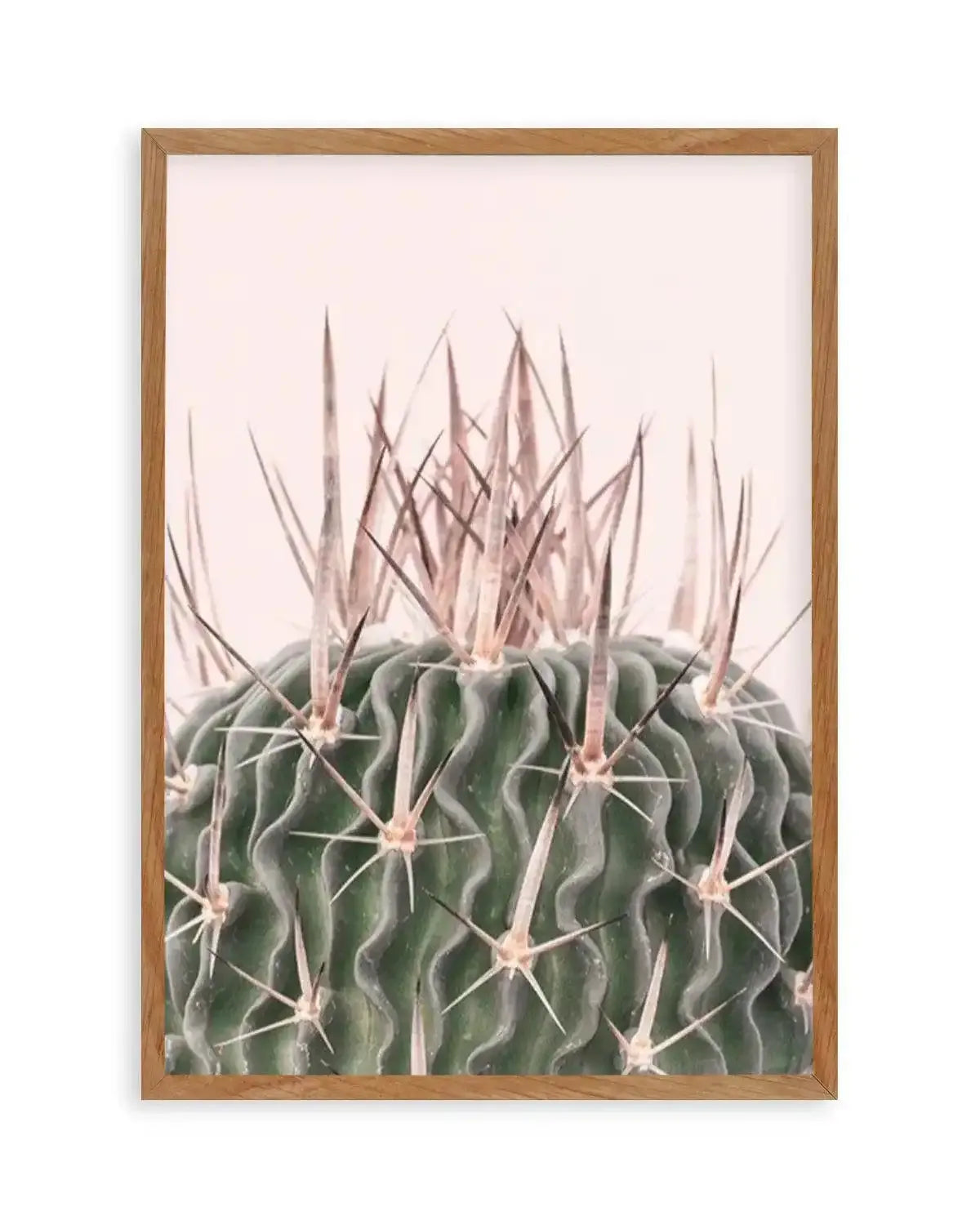 Cactus On Pink I Art Print from Olive et Oriel where you can shop wallpaper and artworks online