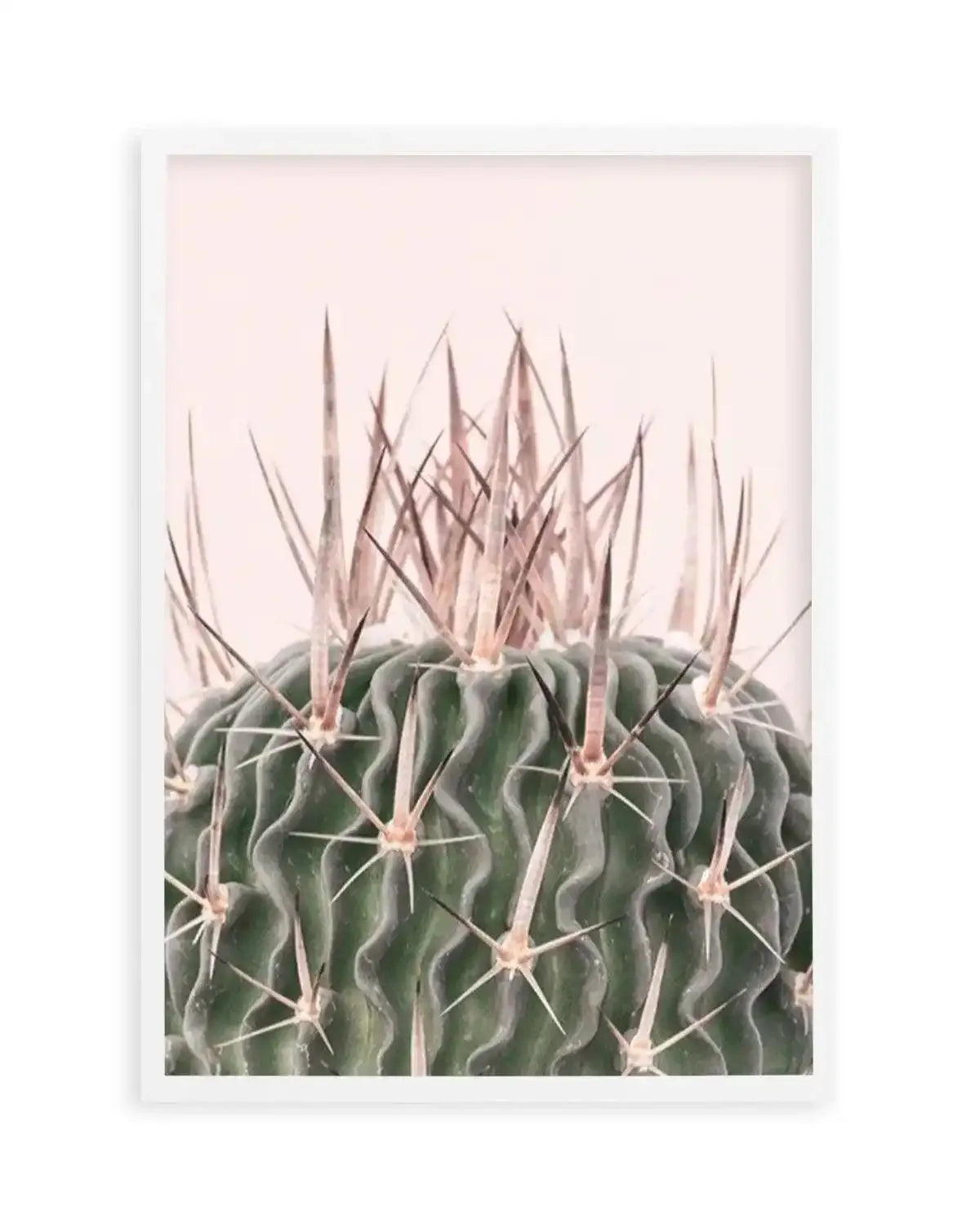 Cactus On Pink I Art Print from Olive et Oriel where you can shop wallpaper and artworks online