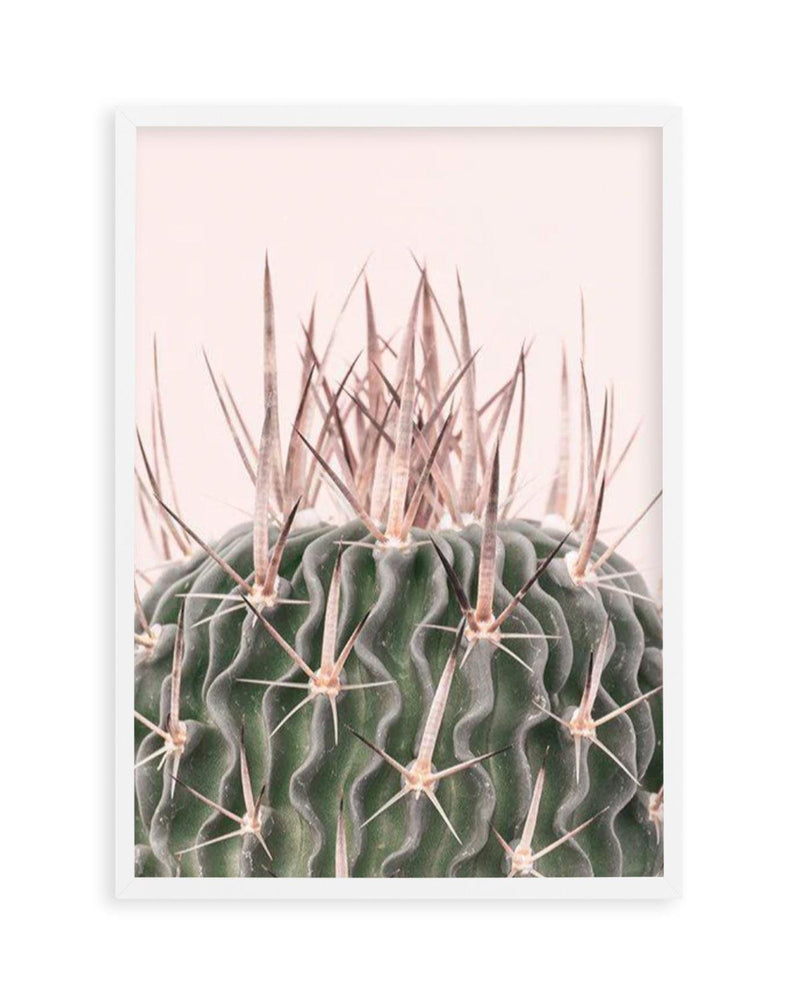 Cactus On Pink I Art Print