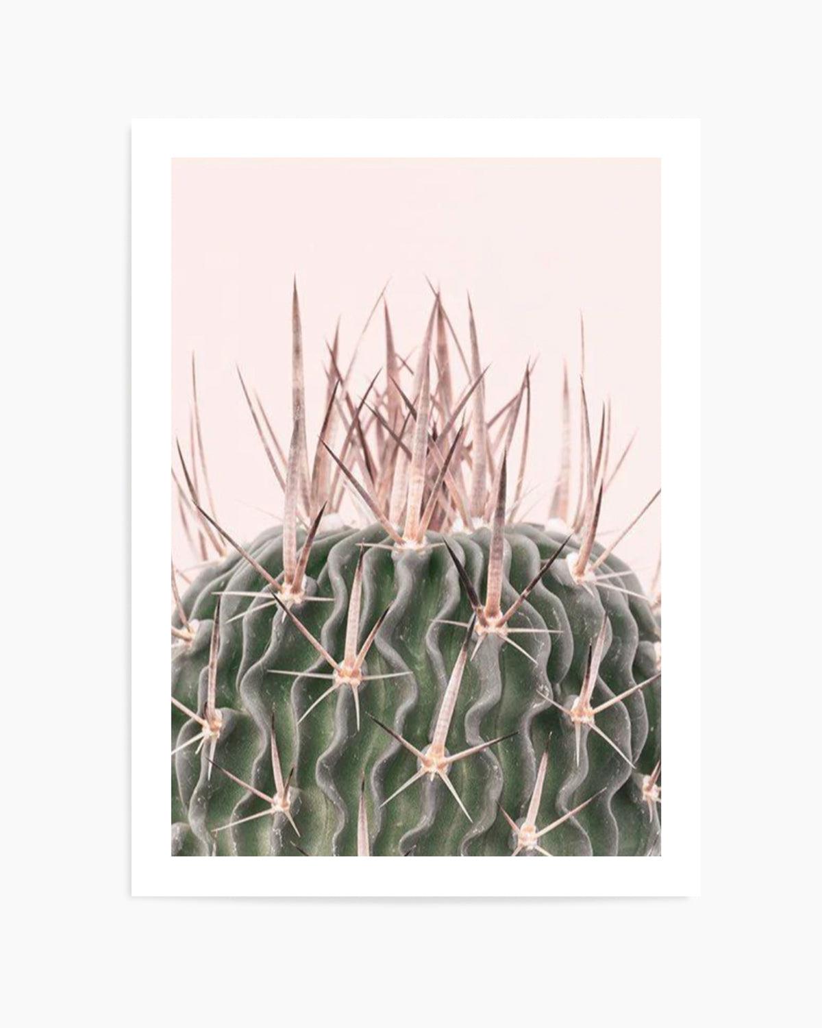 Cactus On Pink I Art Print