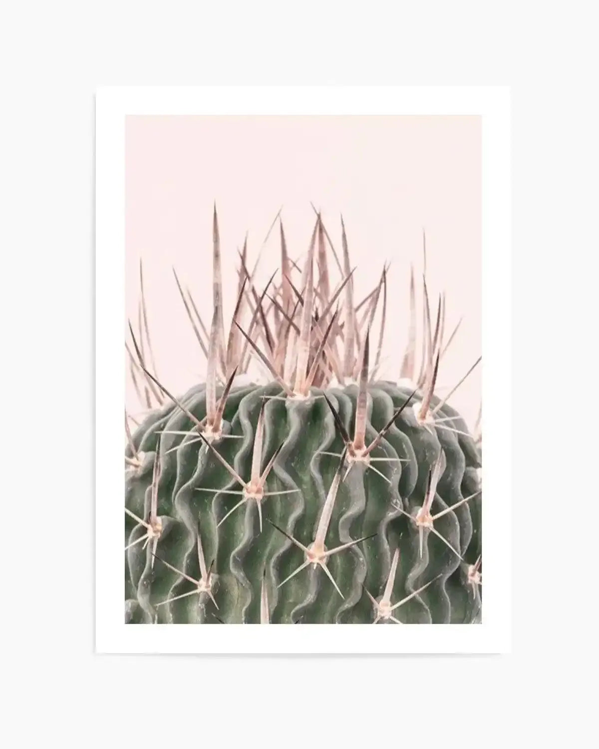 Cactus On Pink I Art Print from Olive et Oriel where you can shop wallpaper and artworks online
