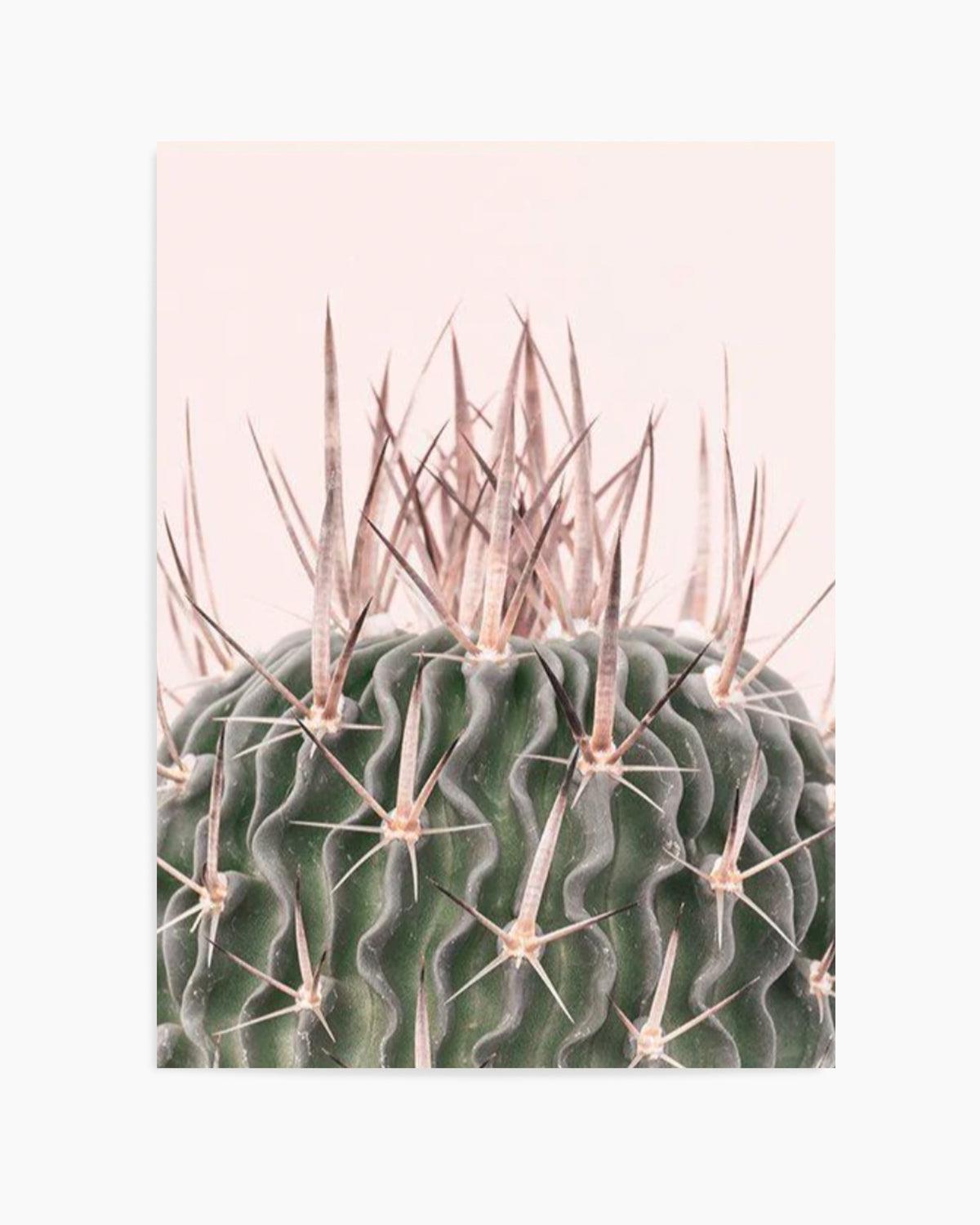 Cactus On Pink I Art Print