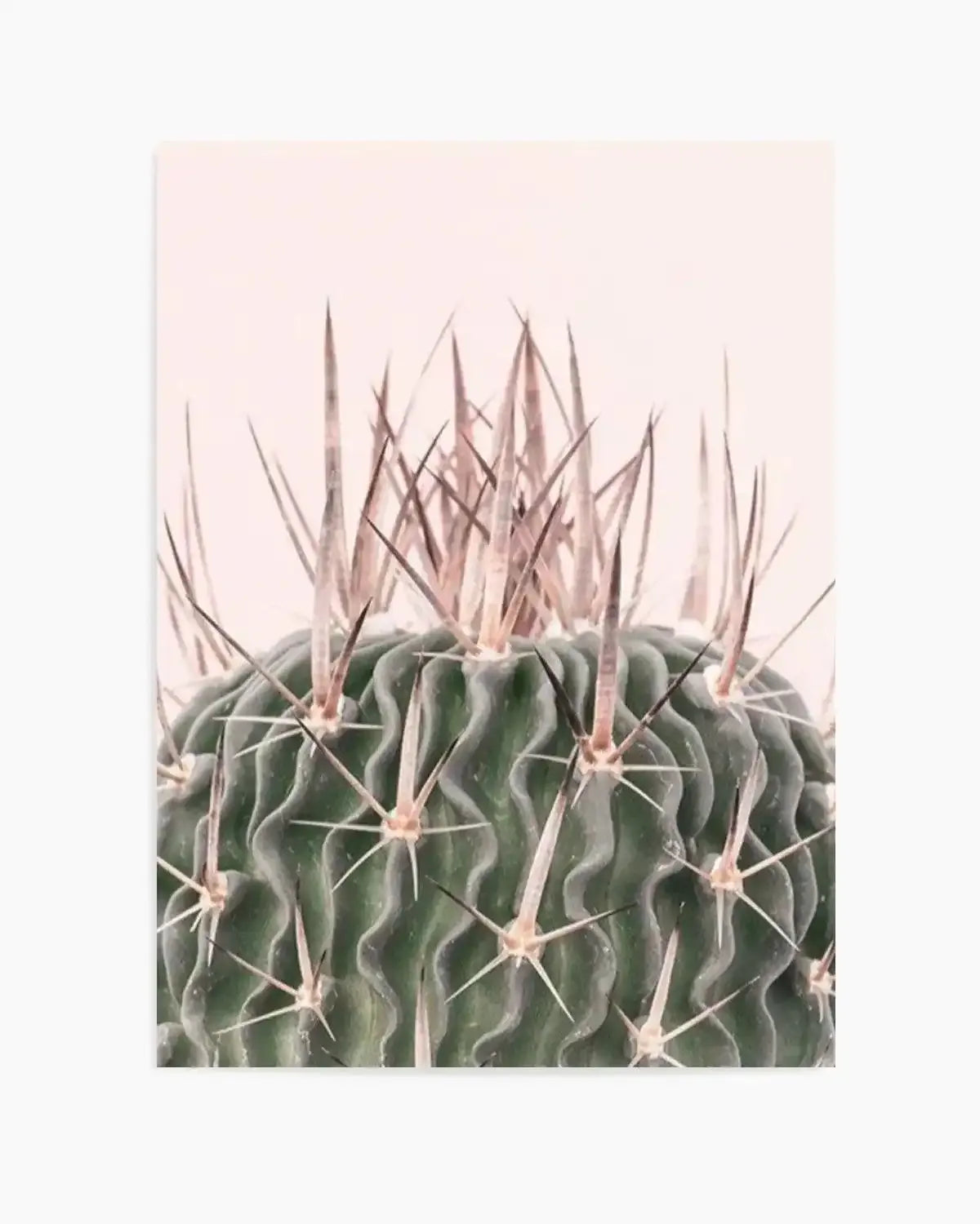 Cactus On Pink I Art Print from Olive et Oriel where you can shop wallpaper and artworks online