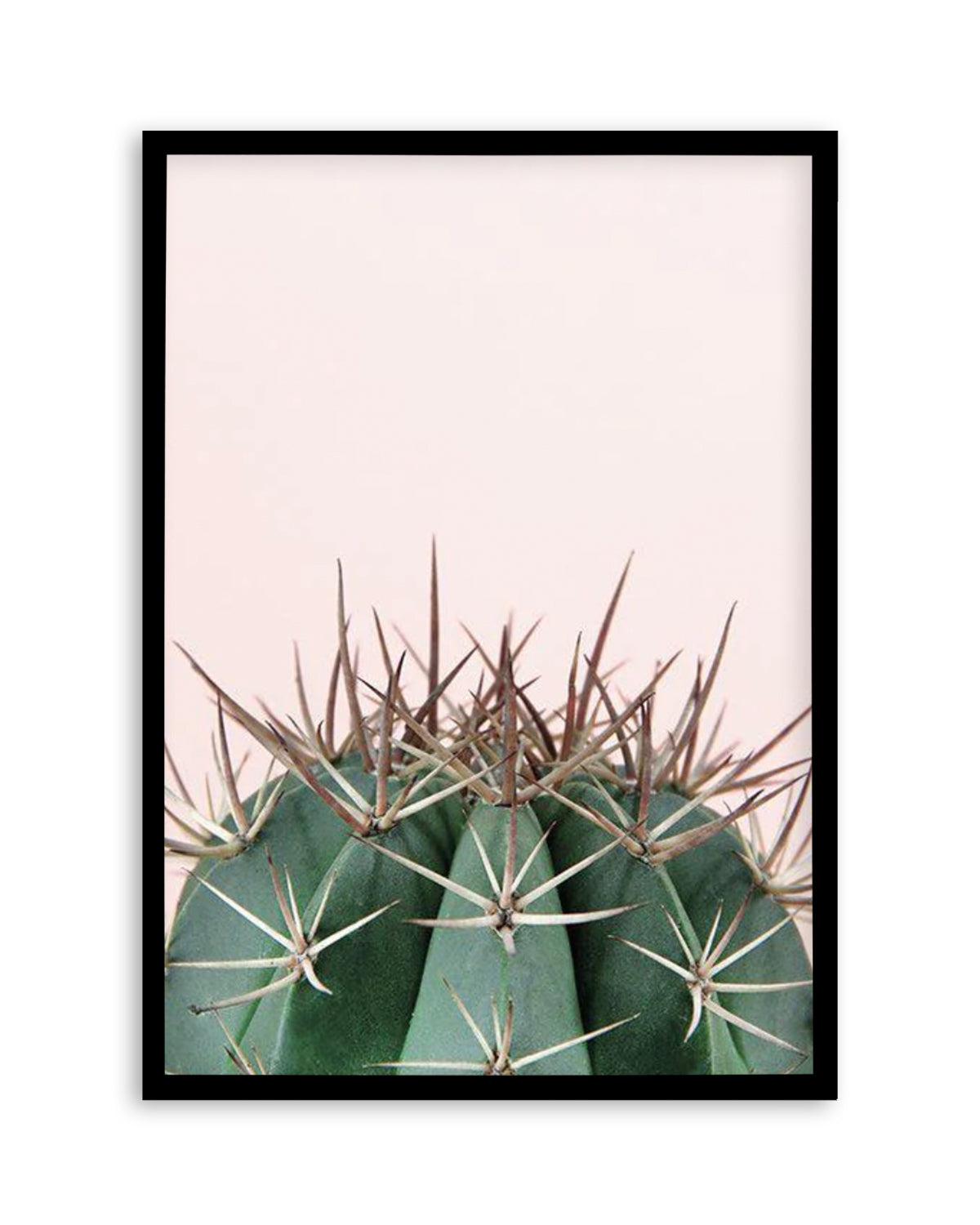 Cactus On Pink II Art Print