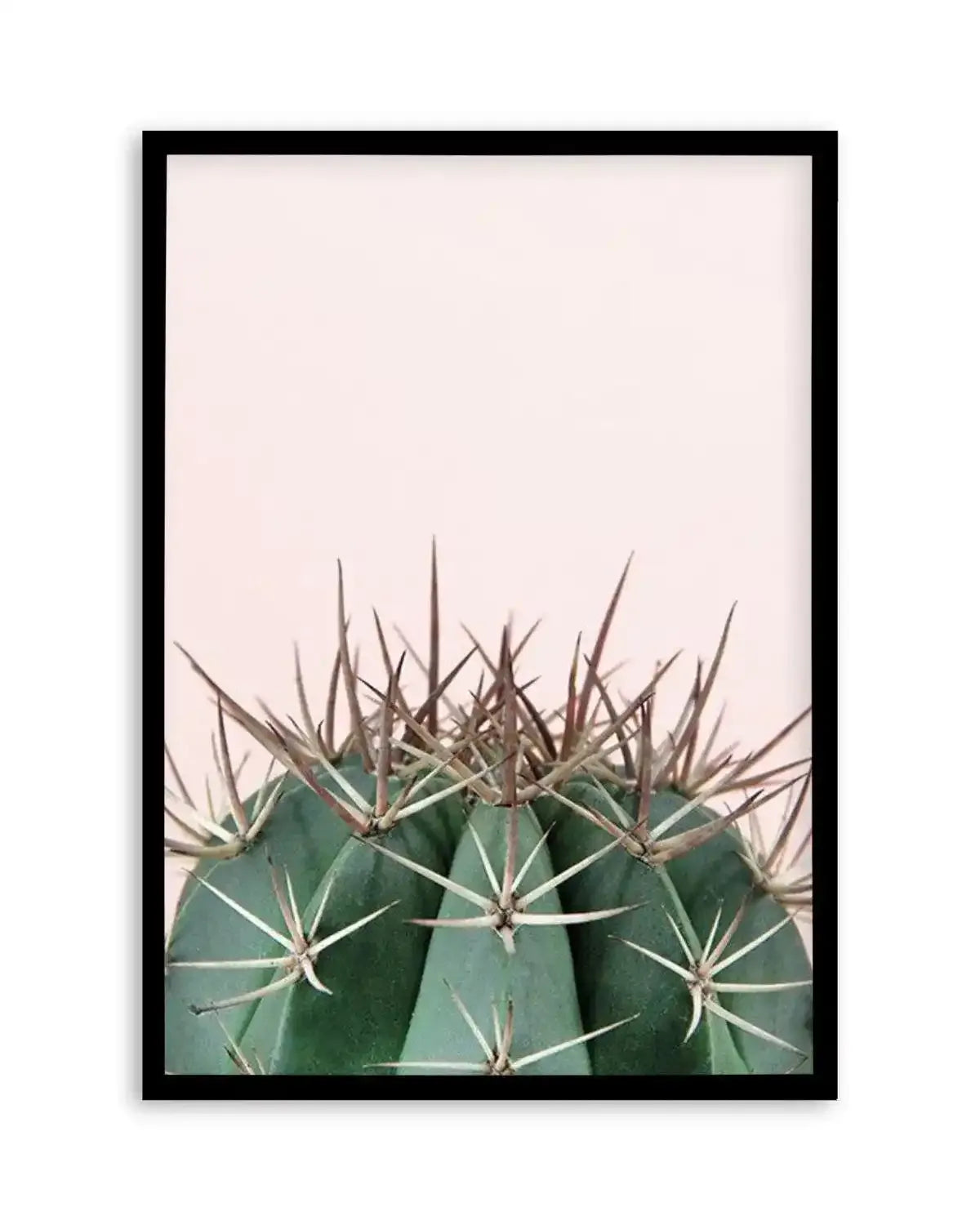 Cactus On Pink II Art Print from Olive et Oriel where you can shop wallpaper and artworks online