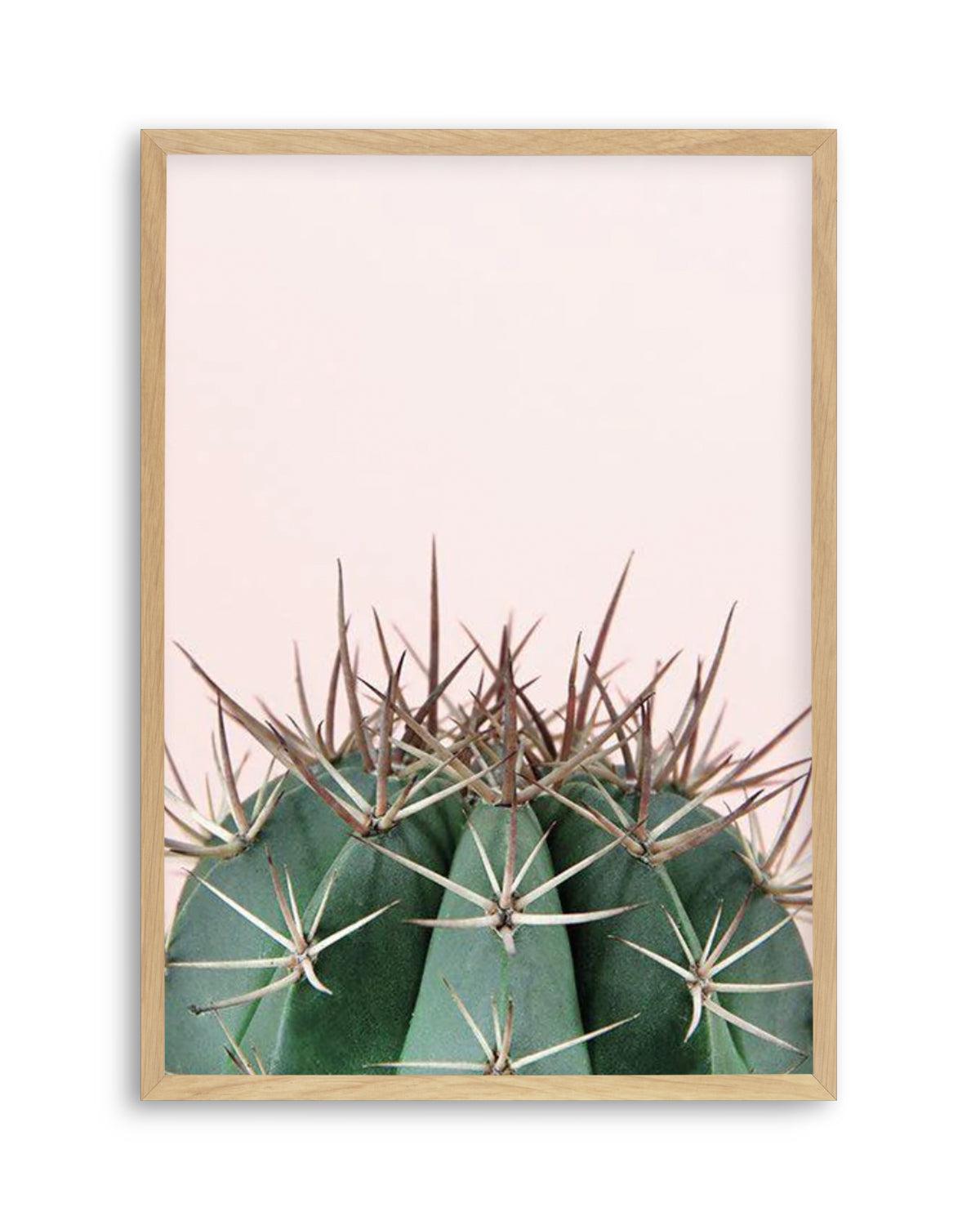 Cactus On Pink II Art Print