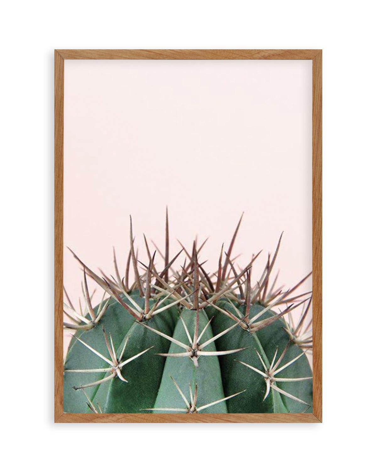 Cactus On Pink II Art Print