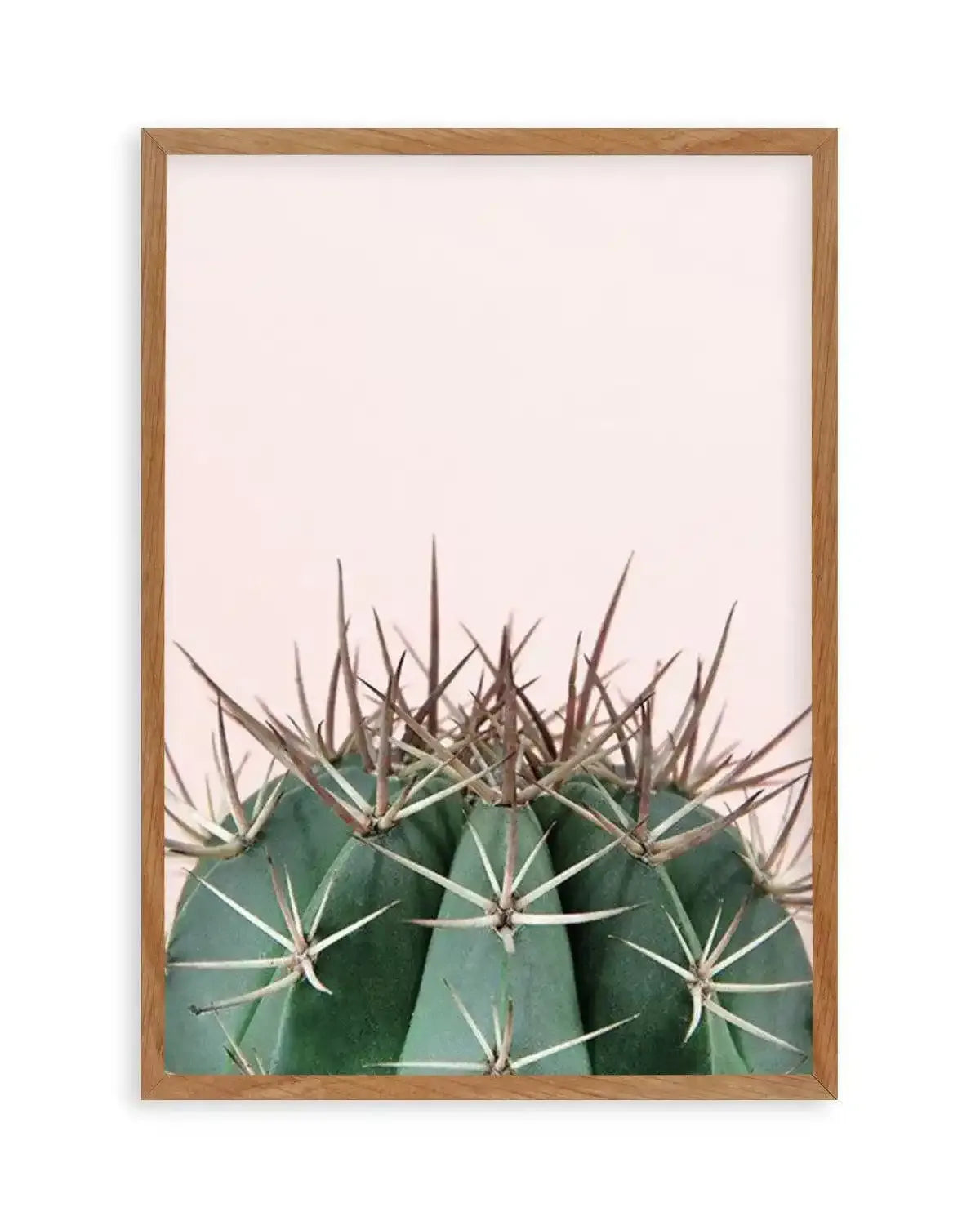 Cactus On Pink II Art Print from Olive et Oriel where you can shop wallpaper and artworks online