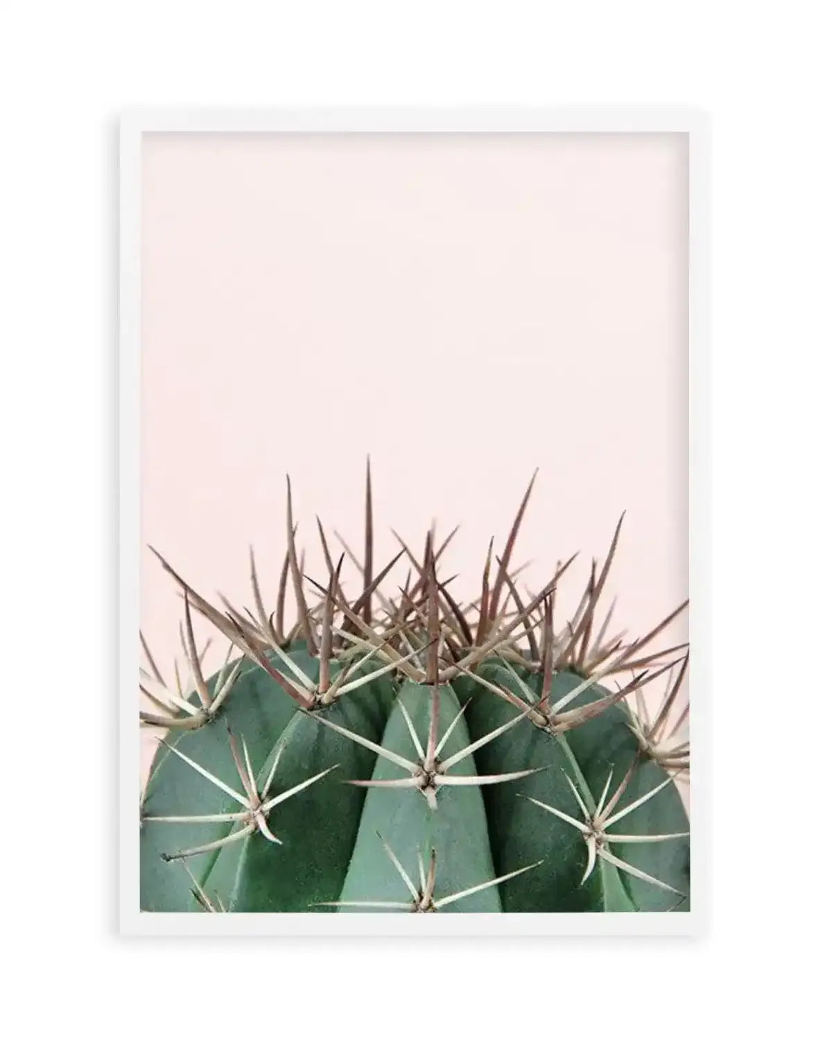 Cactus On Pink II Art Print from Olive et Oriel where you can shop wallpaper and artworks online