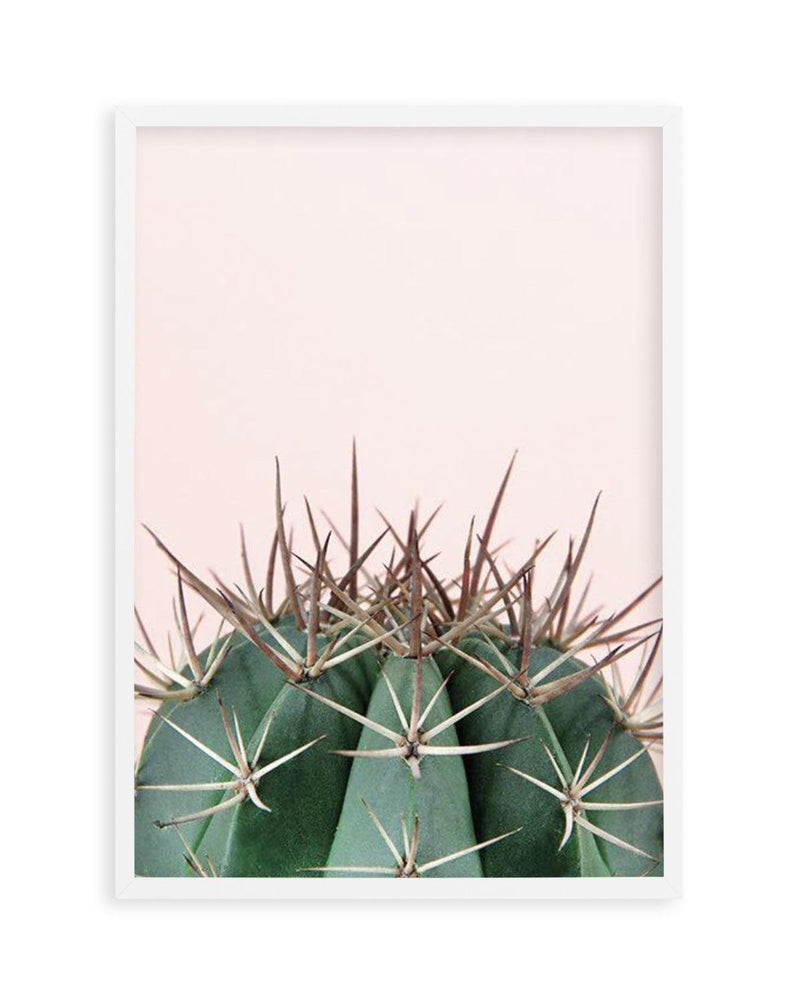 Cactus On Pink II Art Print