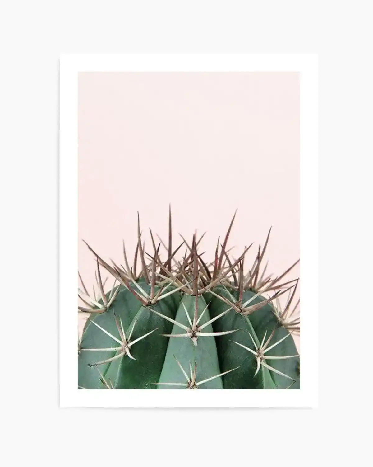 Cactus On Pink II Art Print from Olive et Oriel where you can shop wallpaper and artworks online