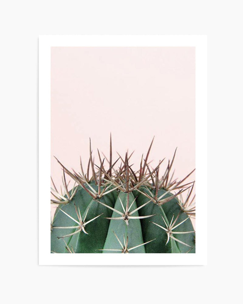 Cactus On Pink II Art Print