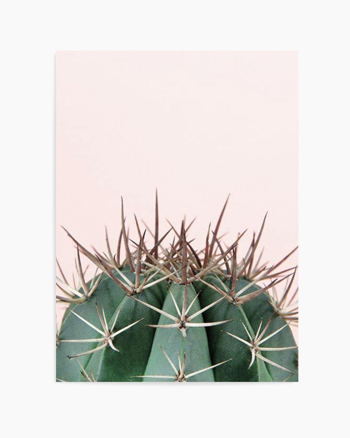 Cactus On Pink II Art Print