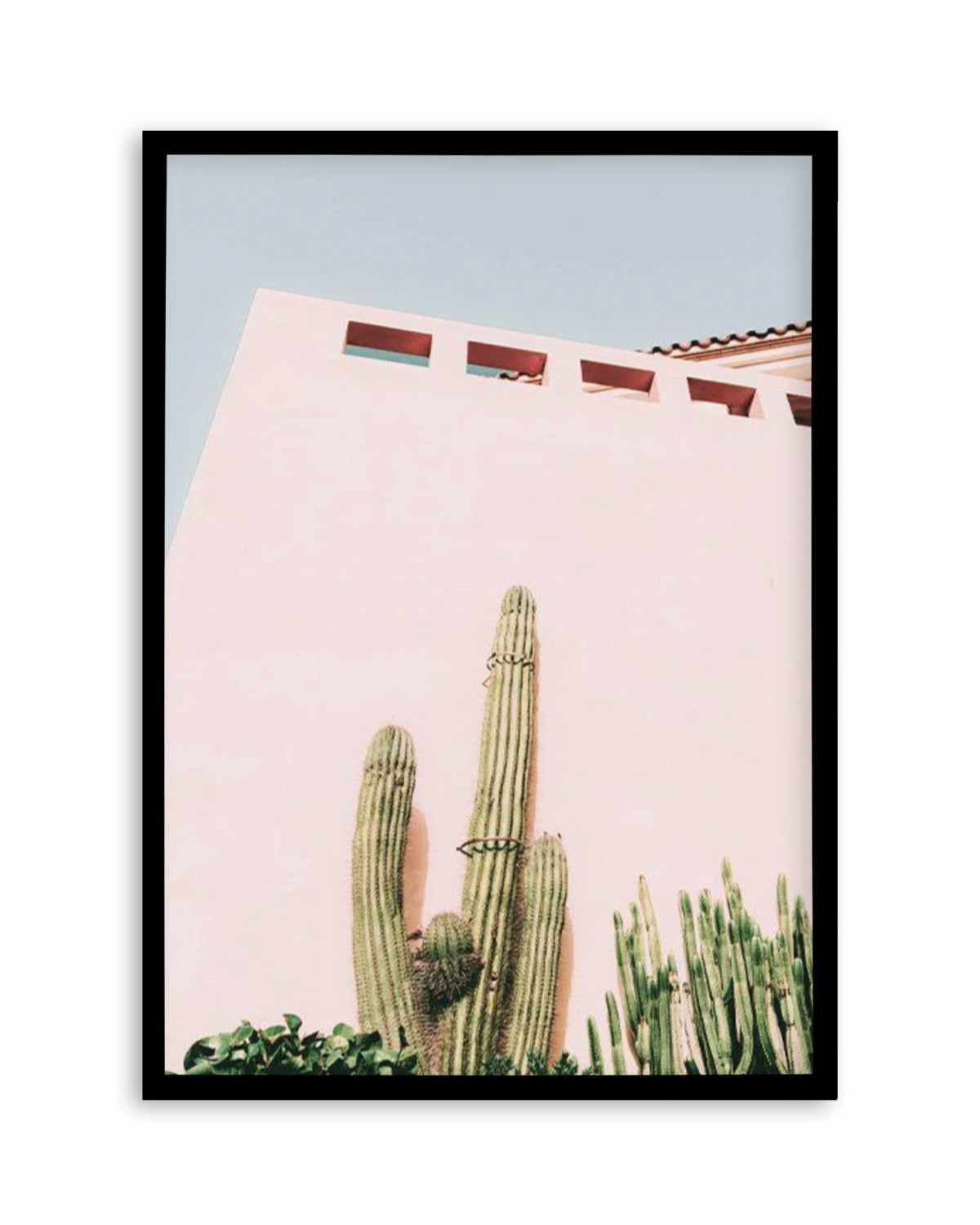 Cactus Wall I Art Print