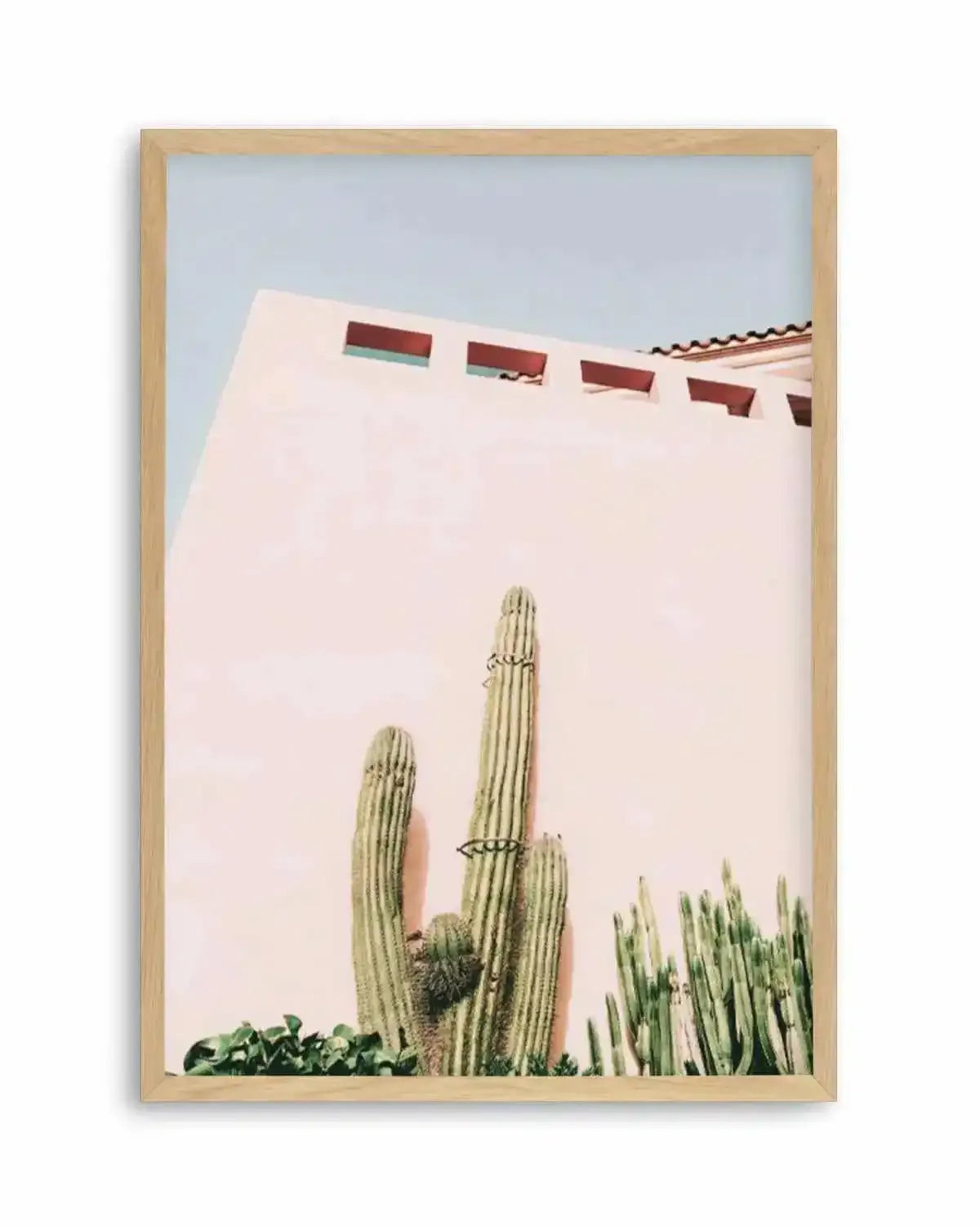 Cactus Wall I Art Print from Olive et Oriel where you can shop wallpaper and artworks online