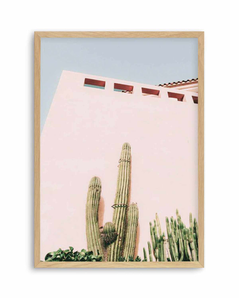Cactus Wall I Art Print