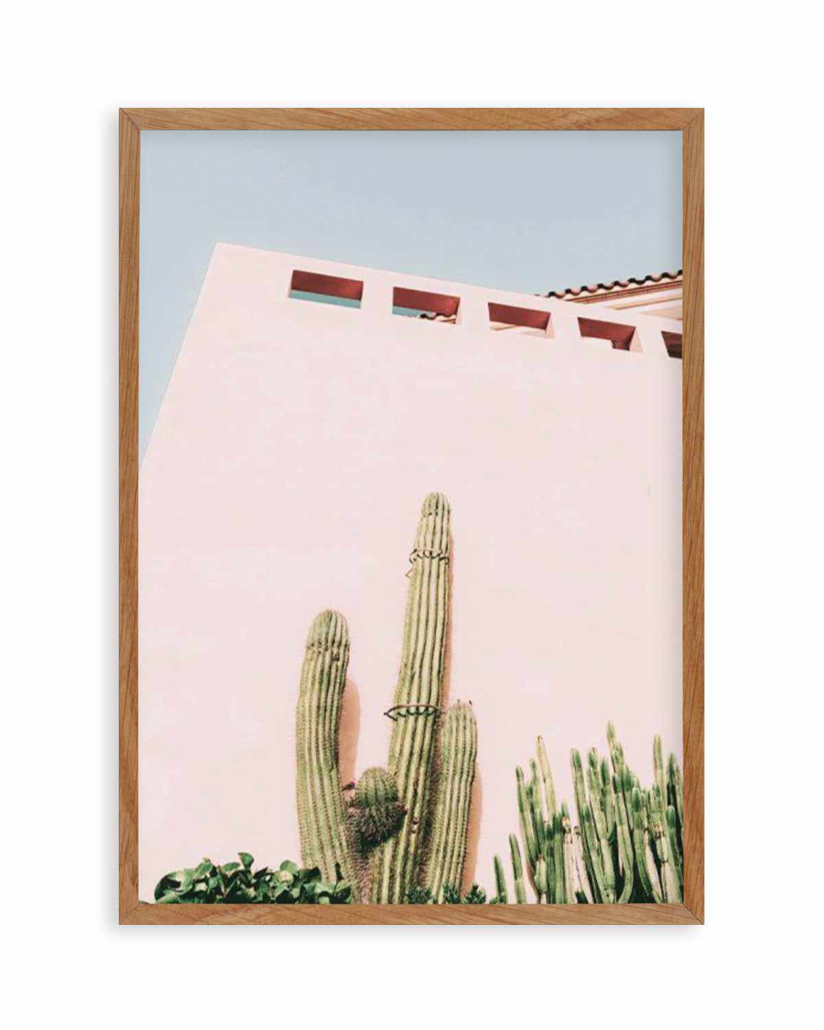 Cactus Wall I Art Print