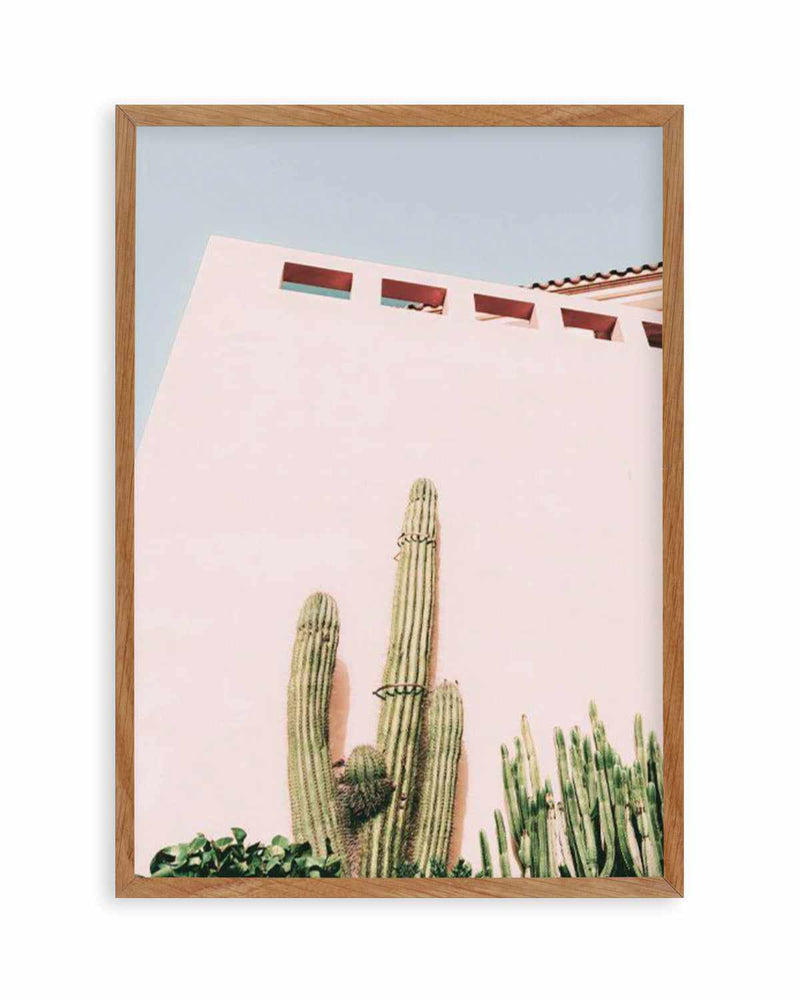 Cactus Wall I Art Print