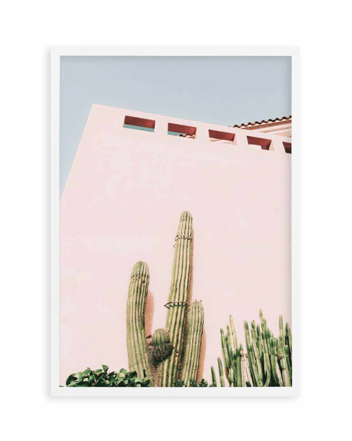 Cactus Wall I Art Print