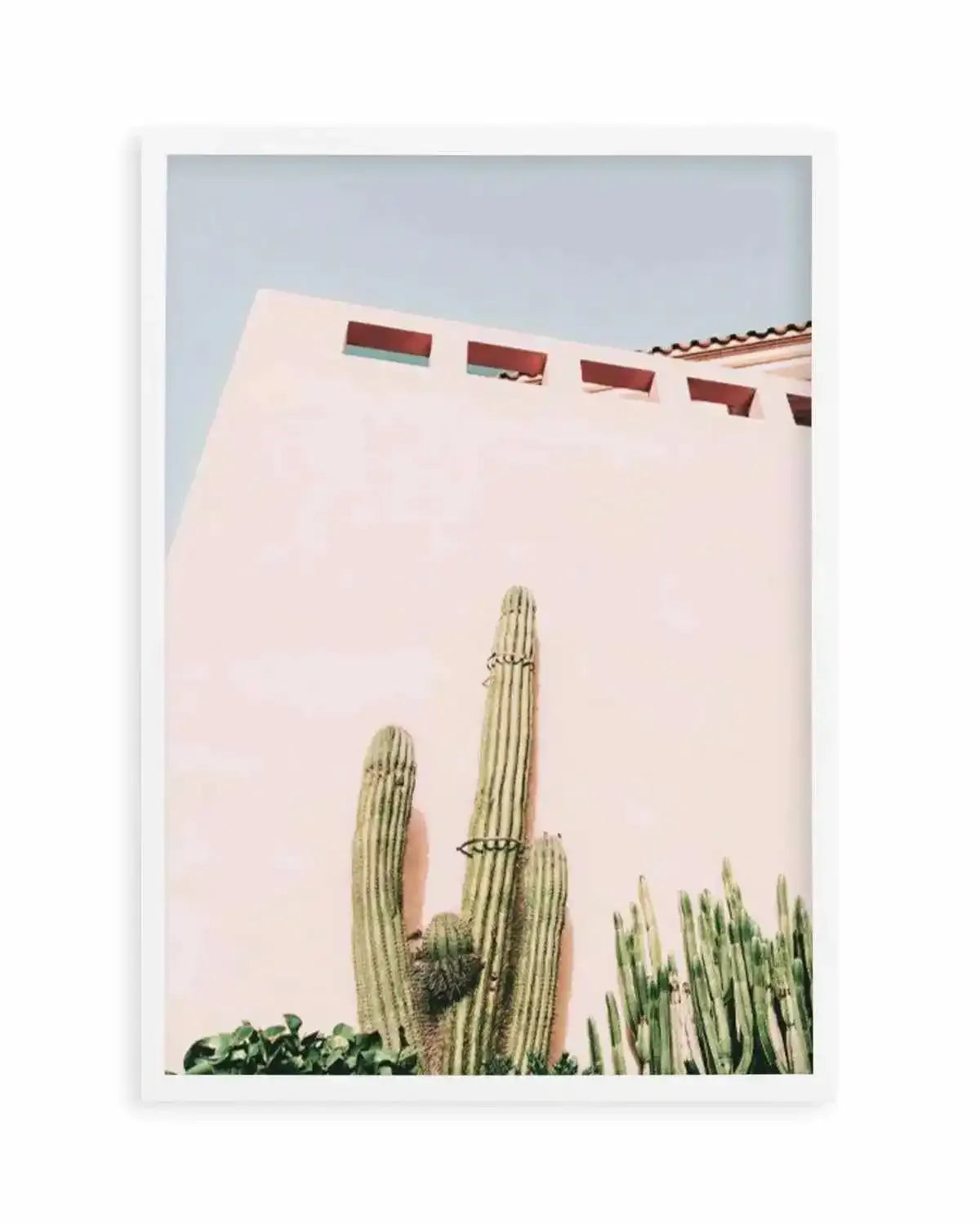 Cactus Wall I Art Print from Olive et Oriel where you can shop wallpaper and artworks online