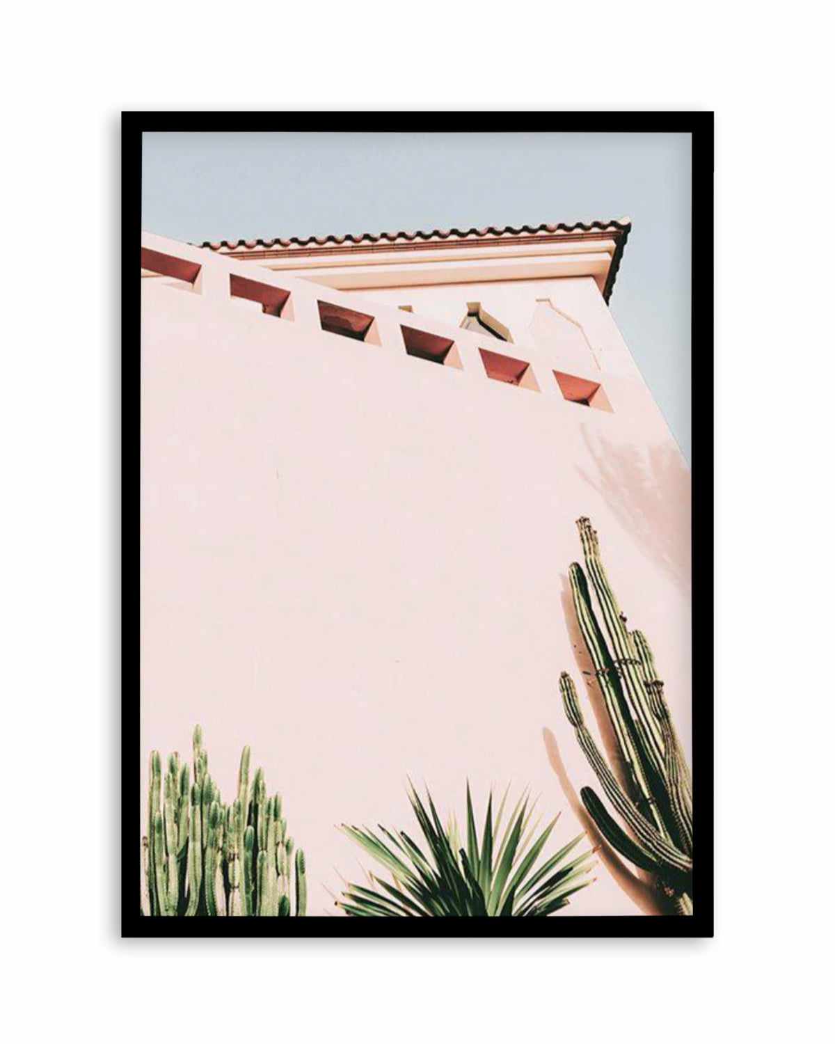 Cactus Wall II Art Print