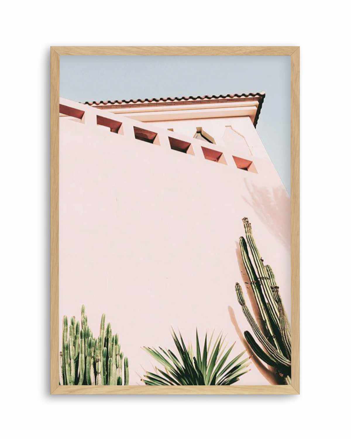 Cactus Wall II Art Print