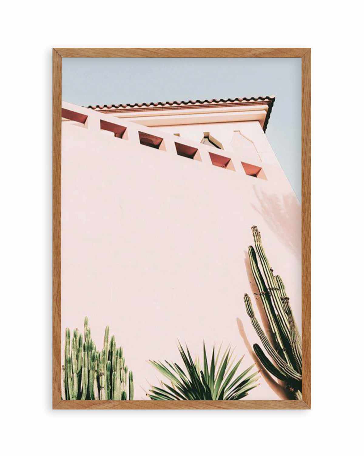 Cactus Wall II Art Print