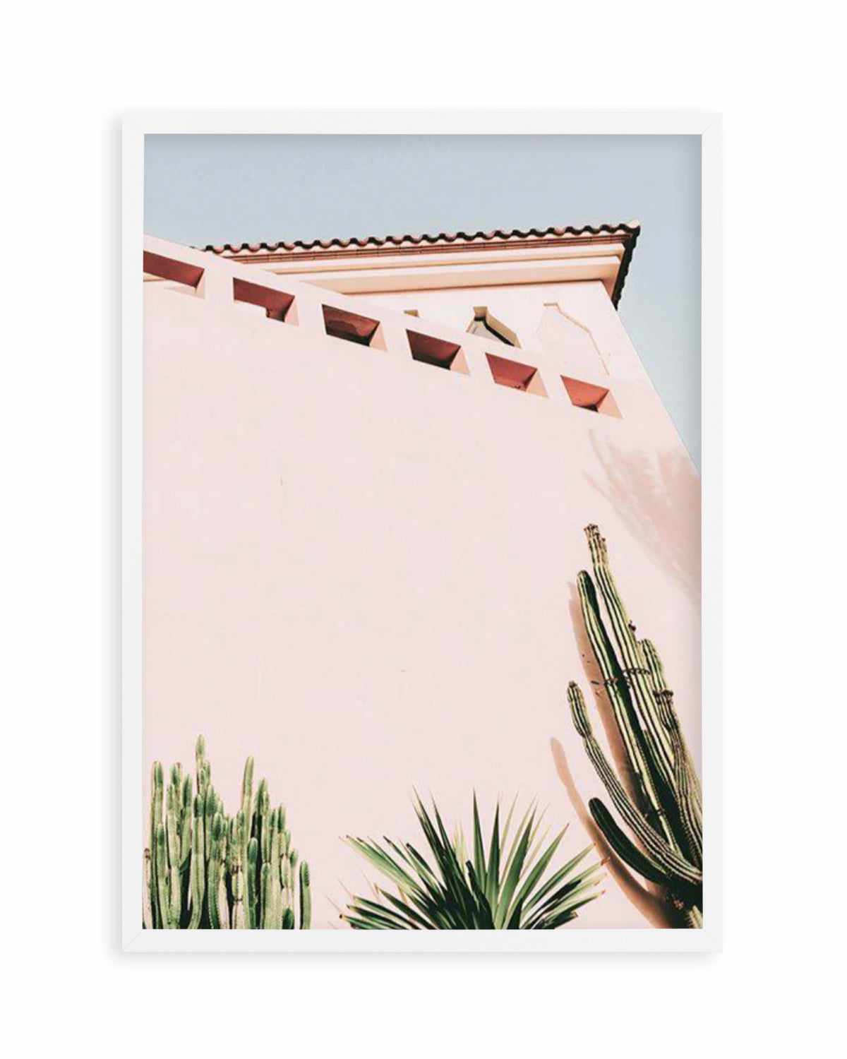 Cactus Wall II Art Print