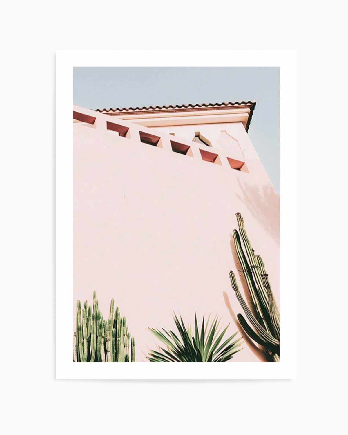 Cactus Wall II Art Print