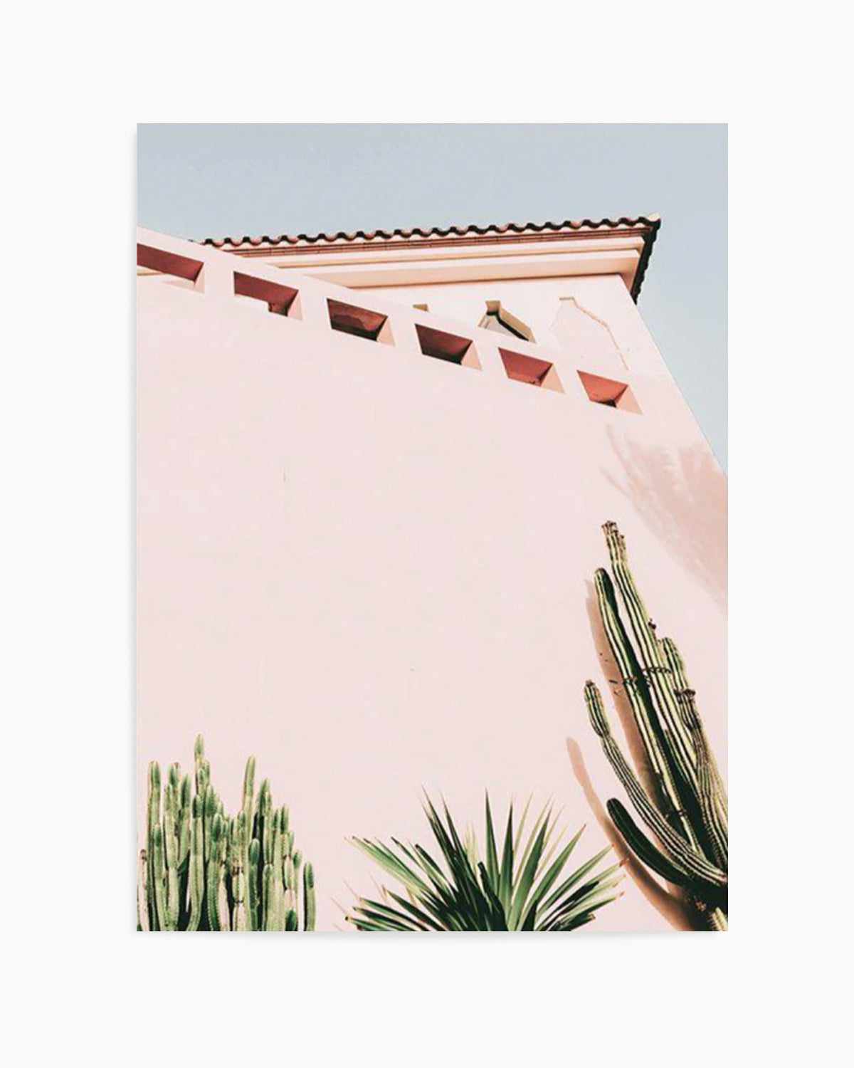 Cactus Wall II Art Print